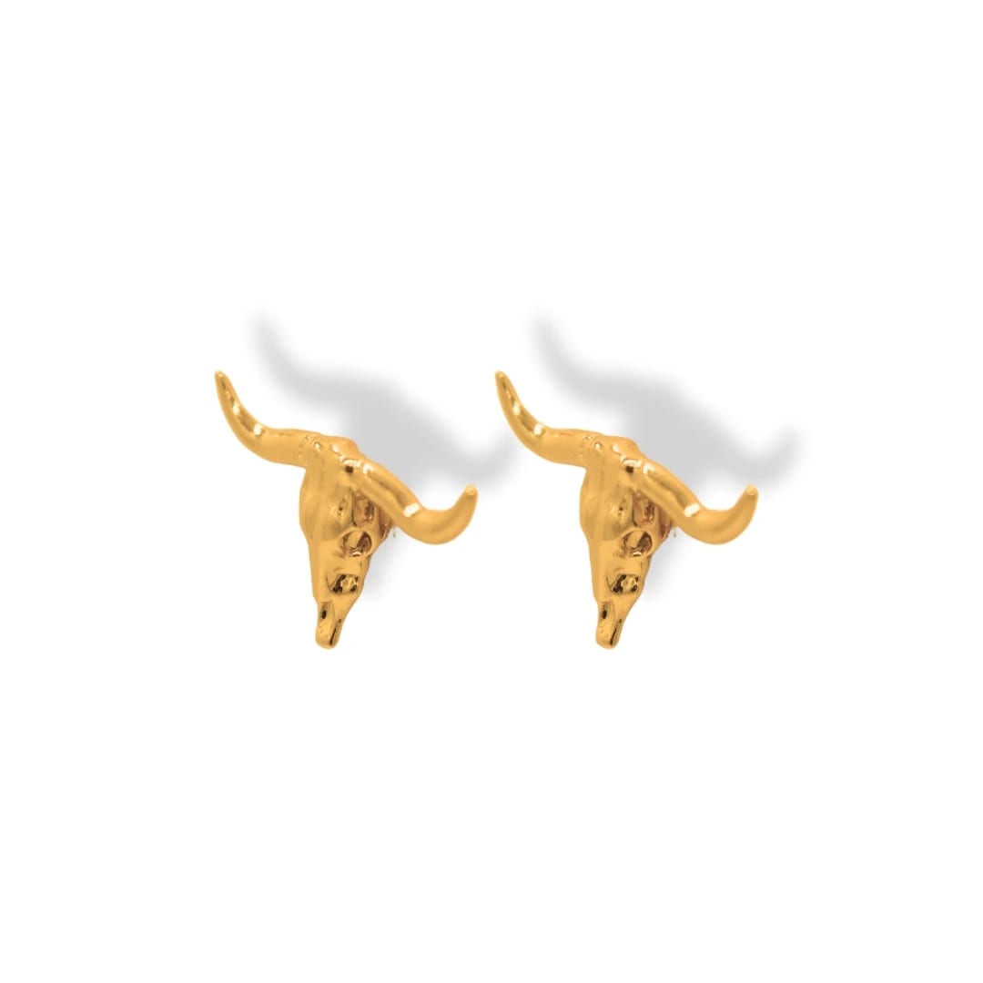 Aretes de cráneo bovino - imagen 1