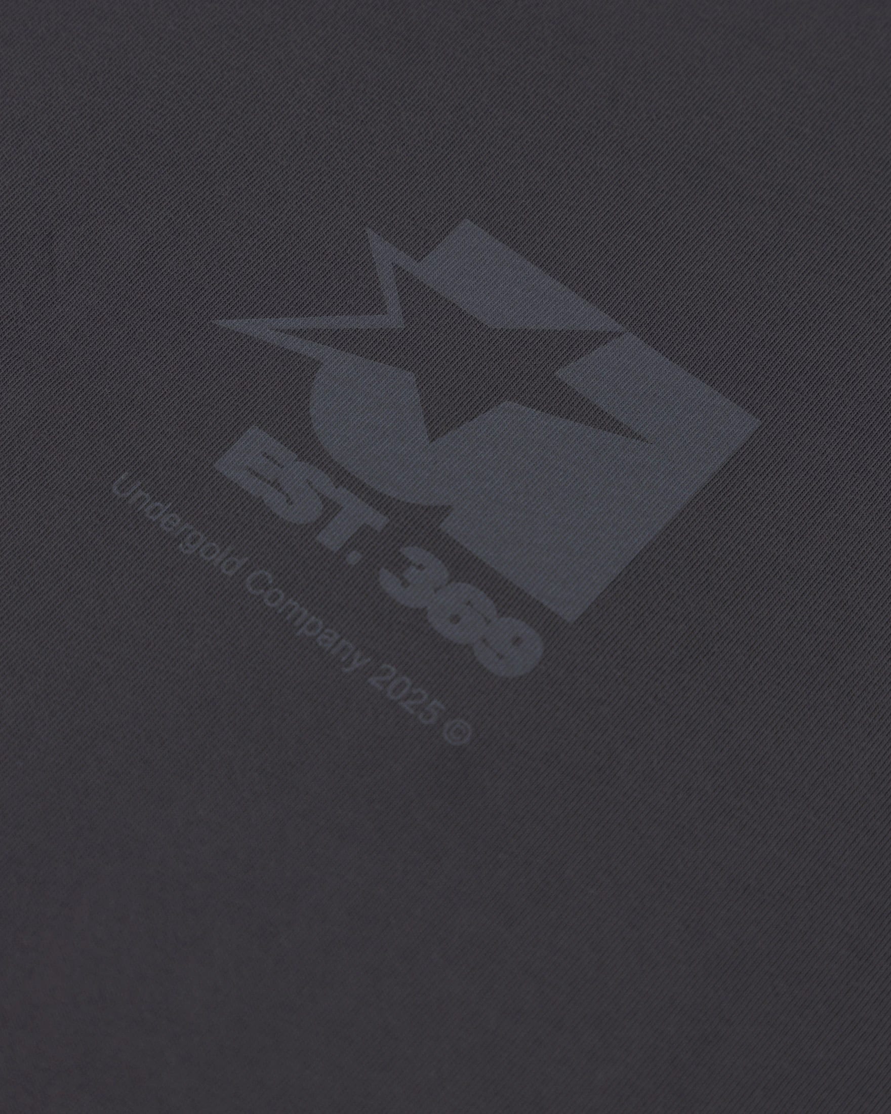 Stardust Symbol Tshirt Gray - imagen 4
