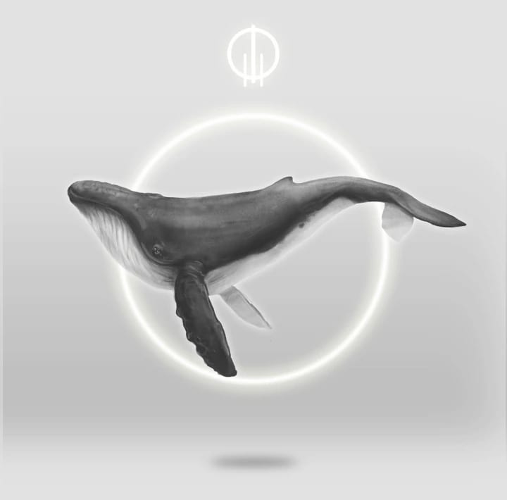 Anillo Ballena Jorobada - imagen 6