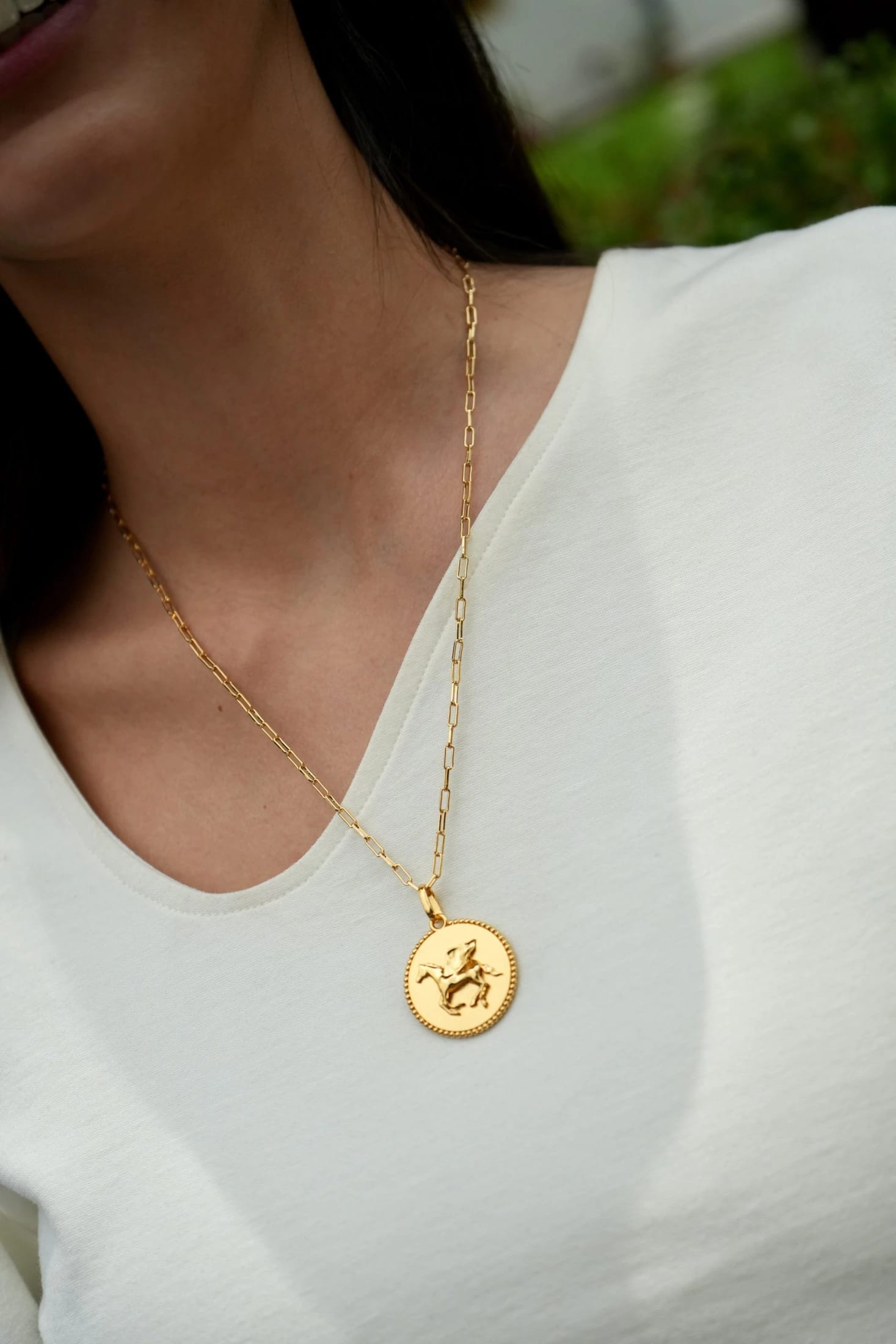 Collar Intuitive Horse - imagen 5