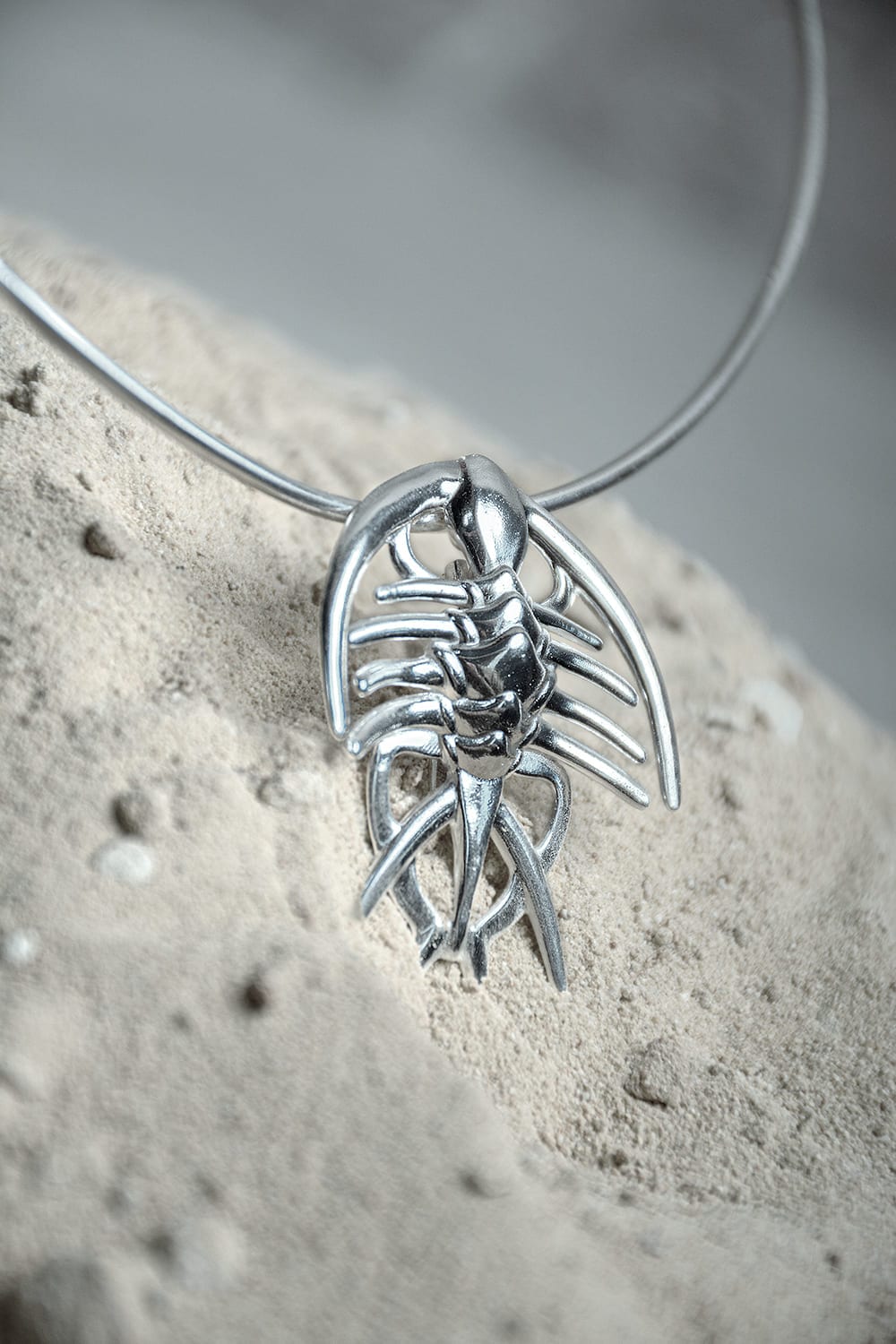 Collar/Prendedor Acanthopyge - imagen 2