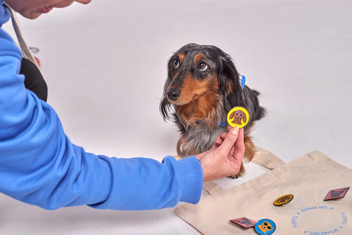 PINES PERROS - imagen 3