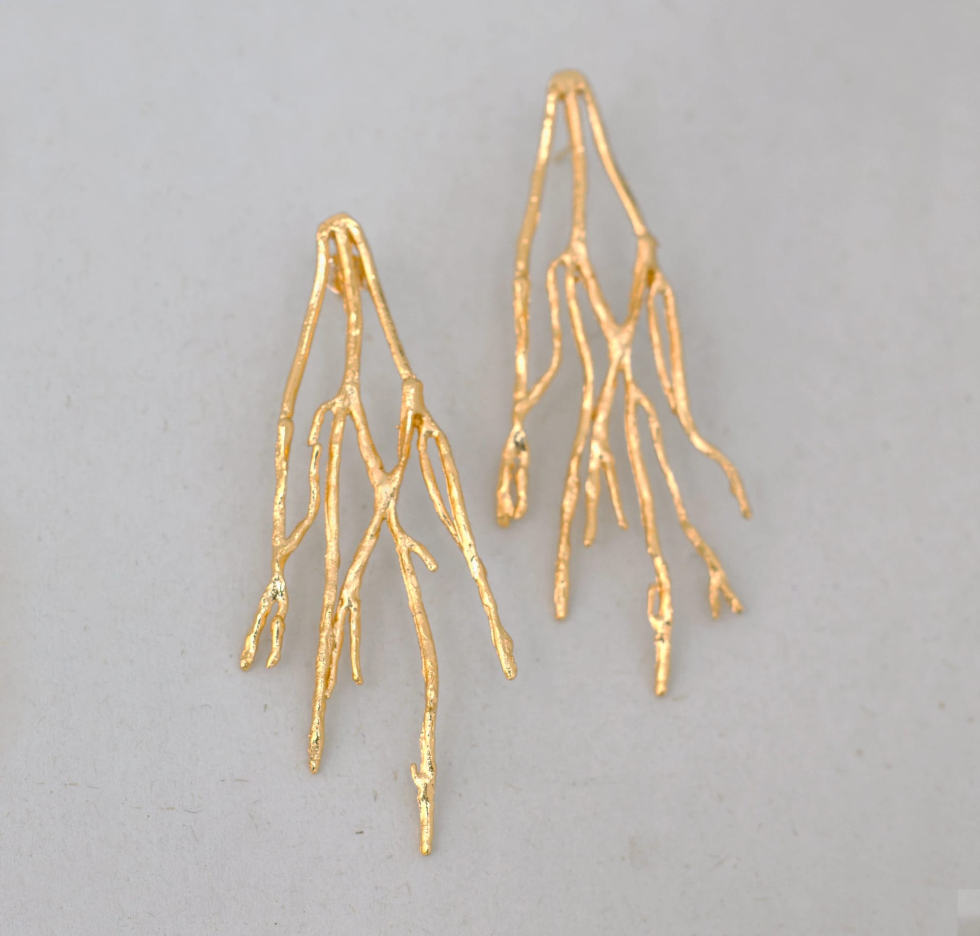 Aretes Arraigados - imagen 1