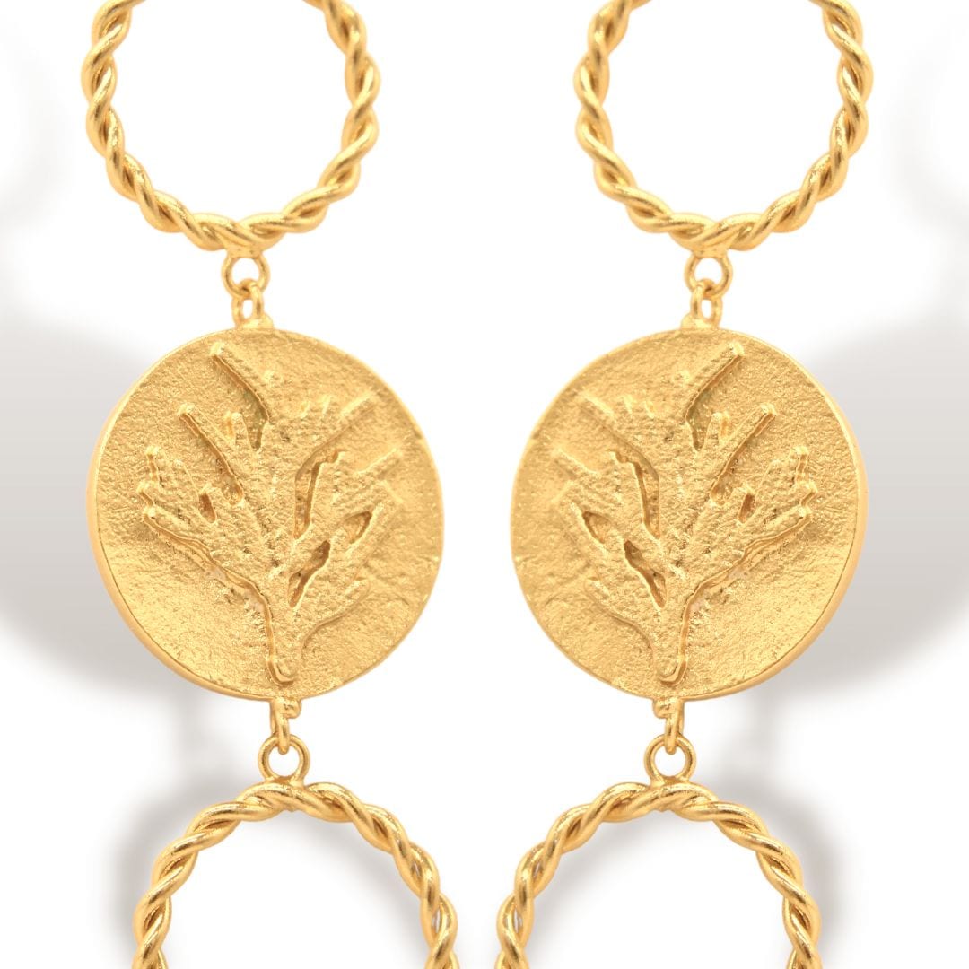 Aretes de coníferas y aros - imagen 2