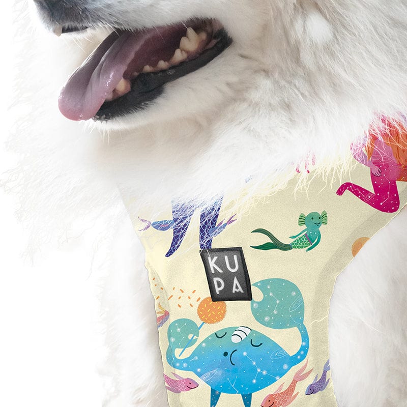 Pechera para mascotas Chía Viajerxs Astrales - imagen 6