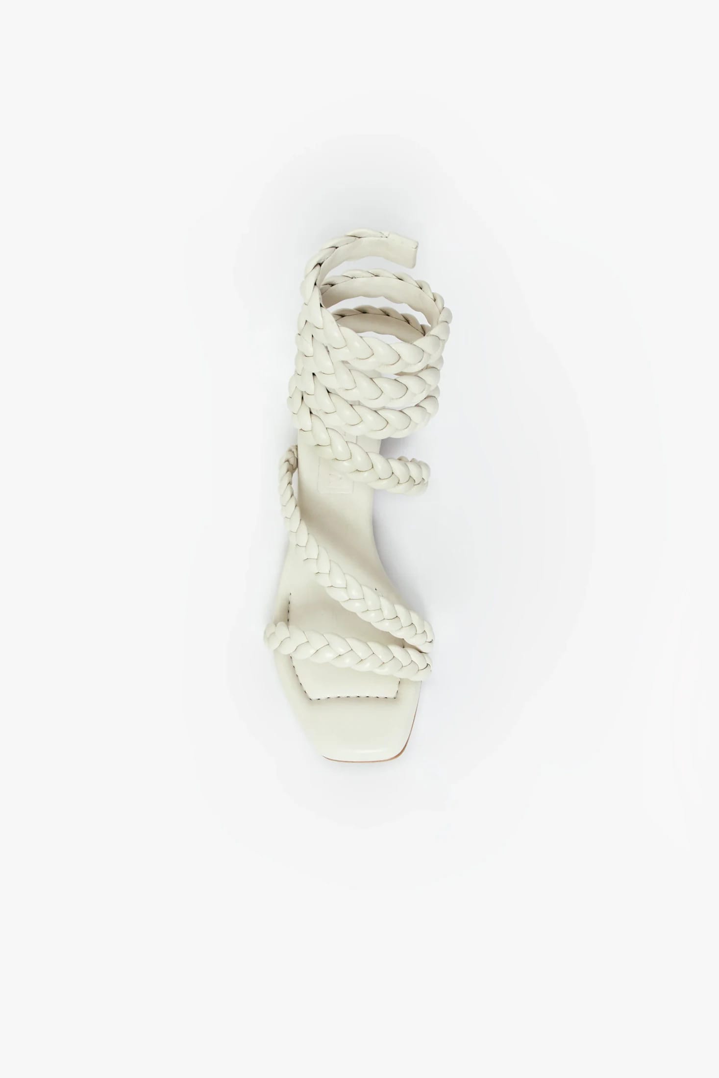 ROMA TRENZA - imagen 7