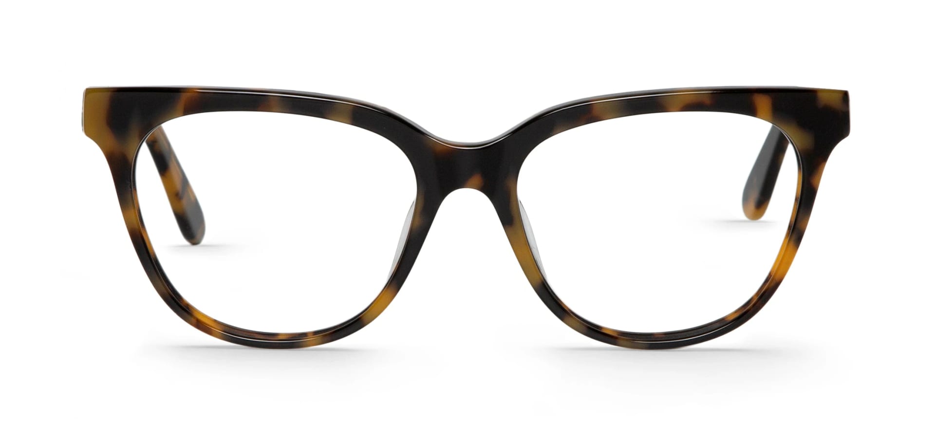HC TORTOISE  BARRY - imagen 1
