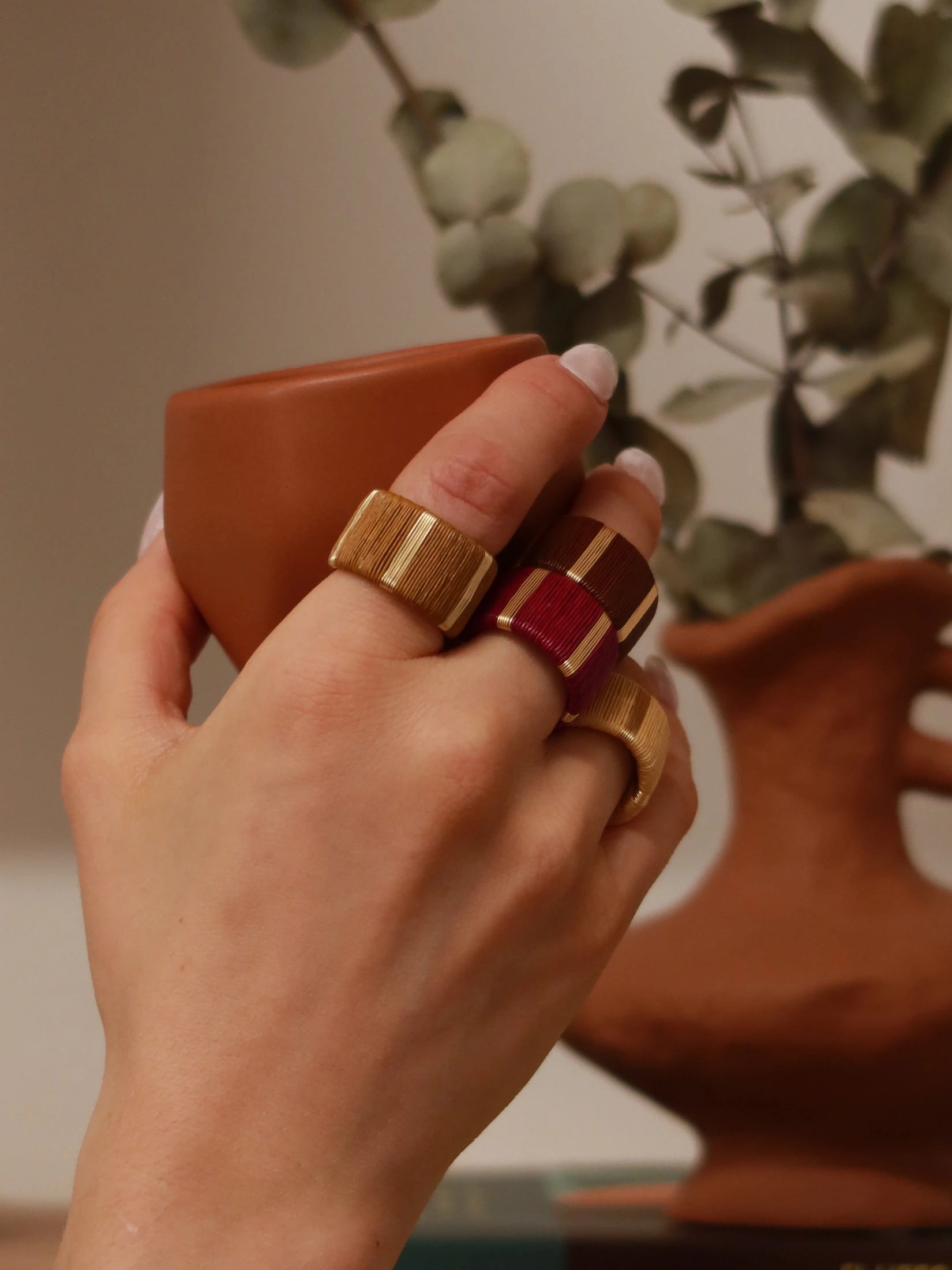 Juaca Ring X1 - imagen 5