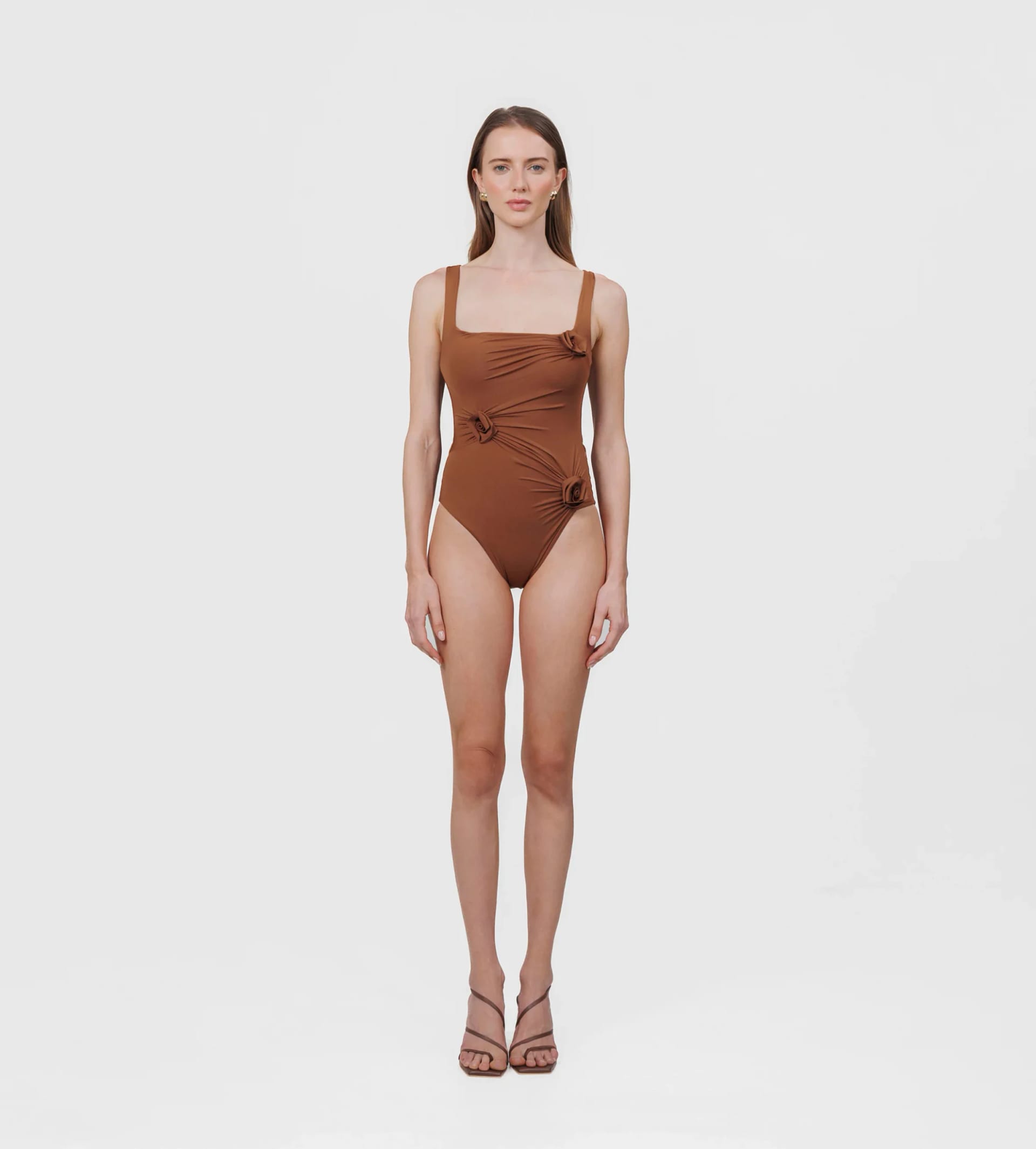 GEMMA - imagen 4