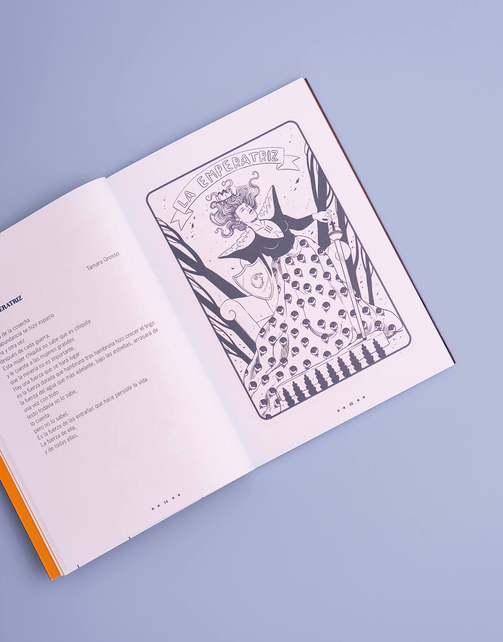 EL LIBRO DEL TAROT &  POESÍA ILUSTRADO - imagen 3
