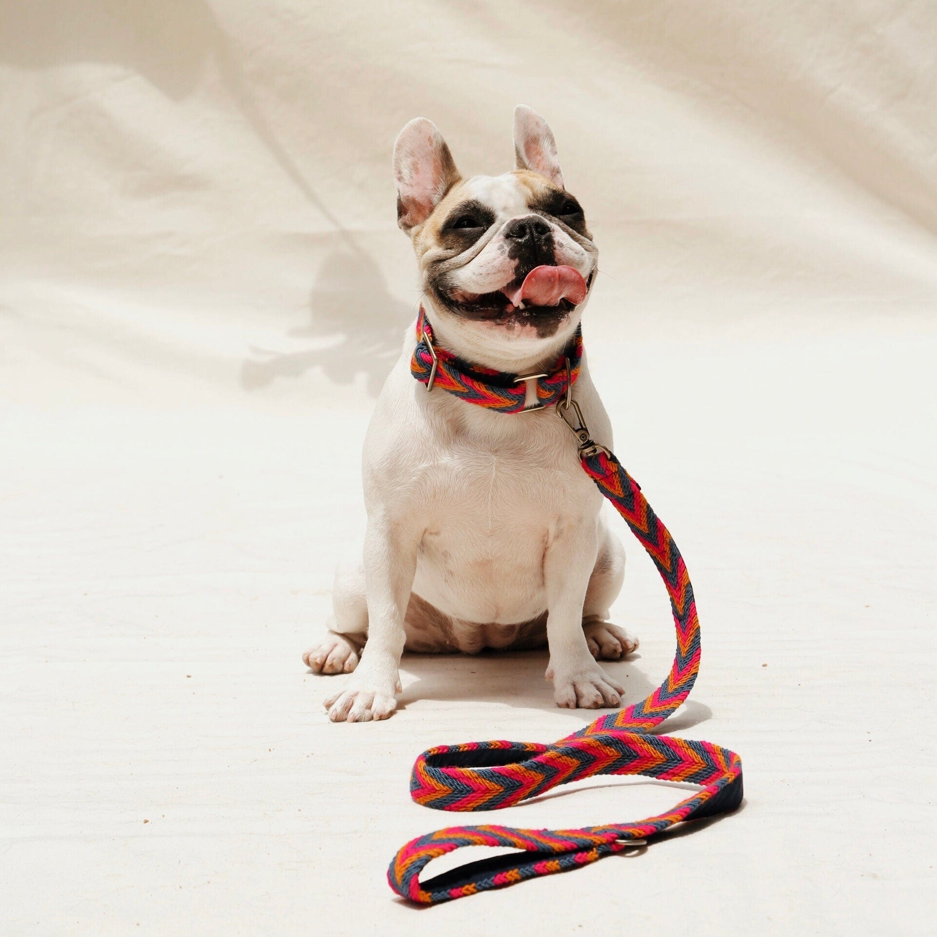 Azul Set - Collar & Leash - imagen 1