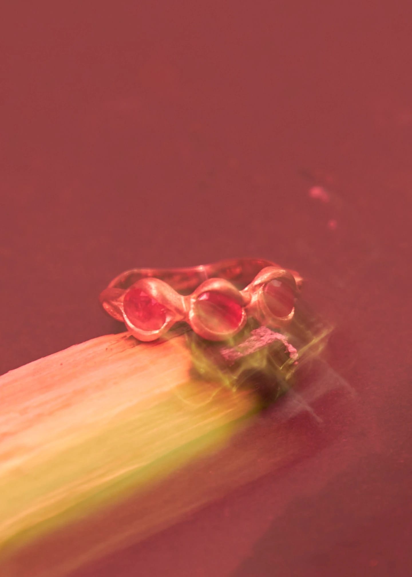 Anillo Fuego - imagen 4