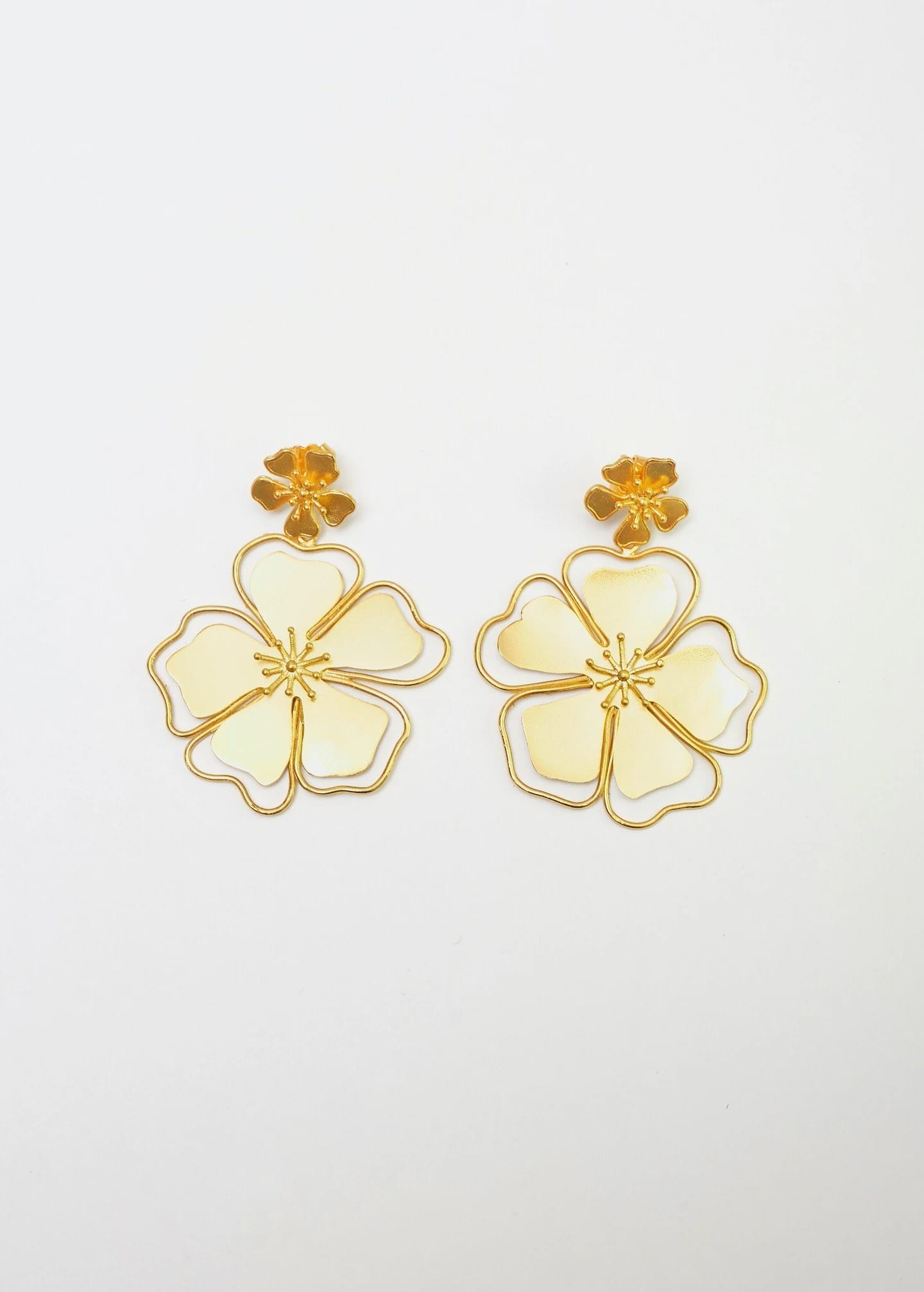 Aretes Andreae - imagen 3