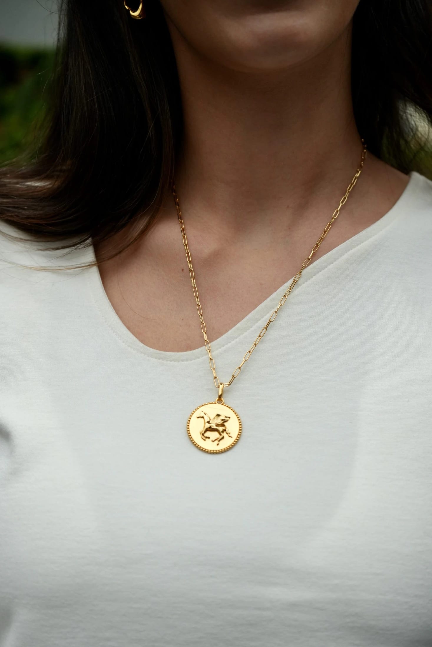 Collar Intuitive Horse - imagen 4