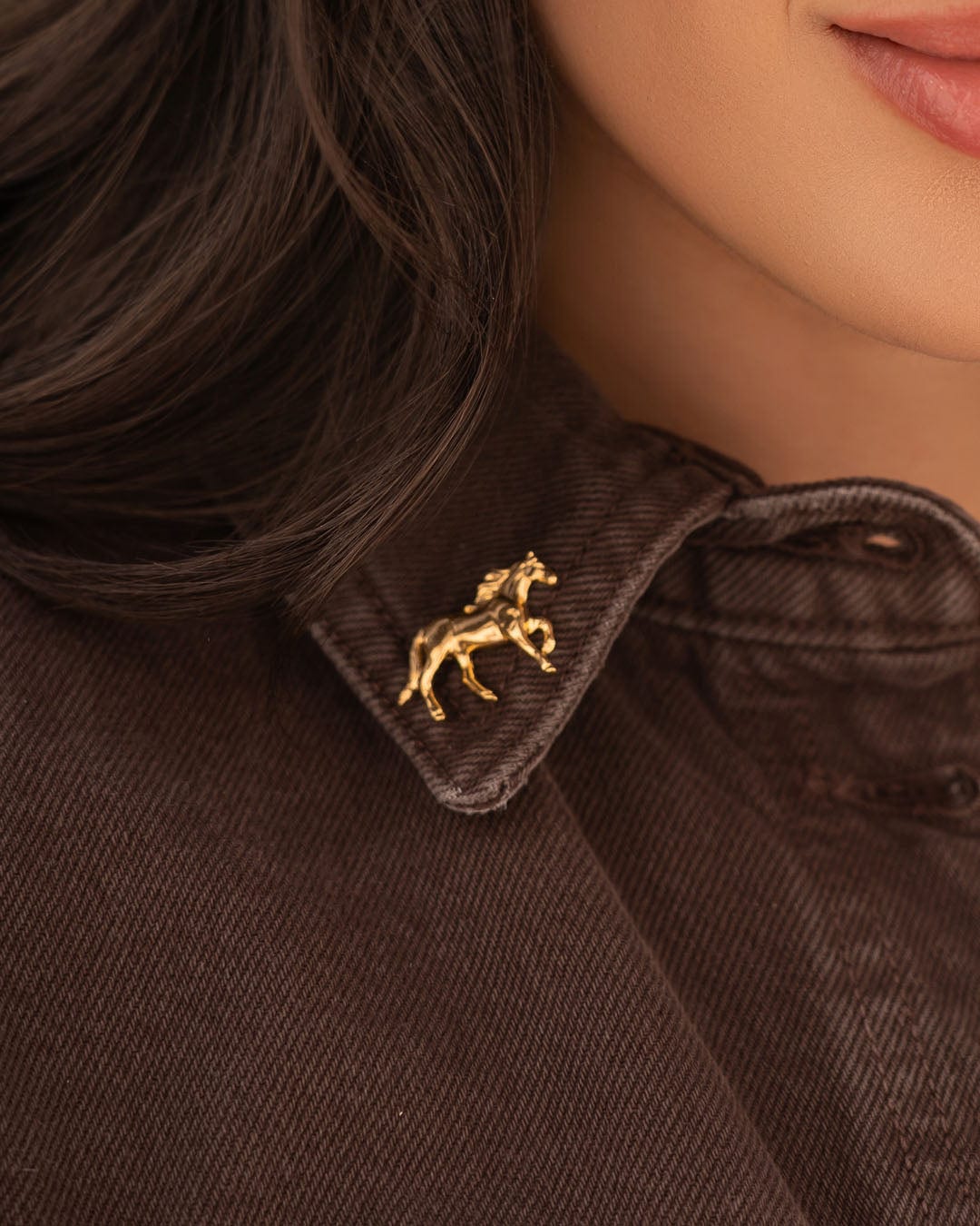 Pin Caballo - imagen 1