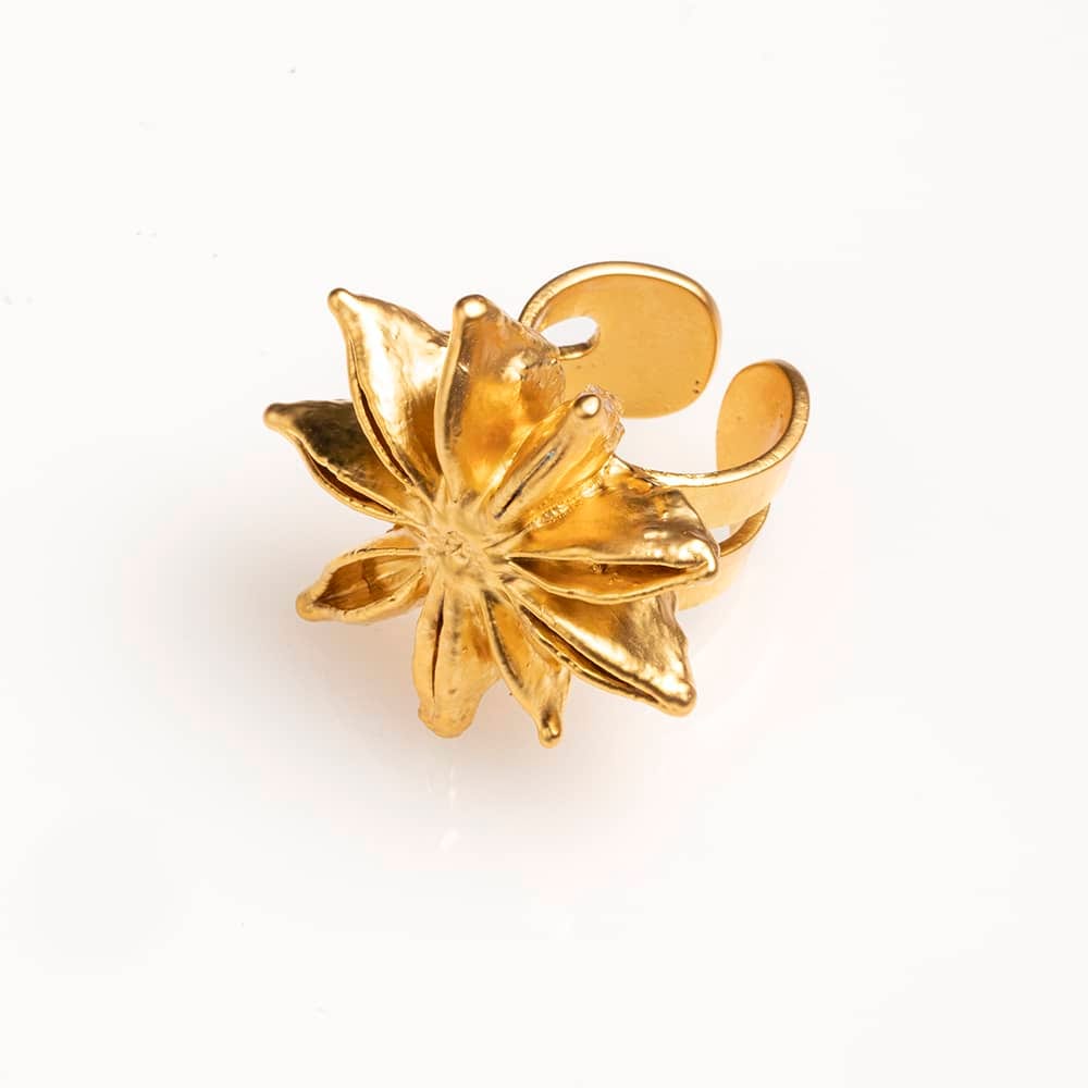 Star Anise Ring - imagen 1
