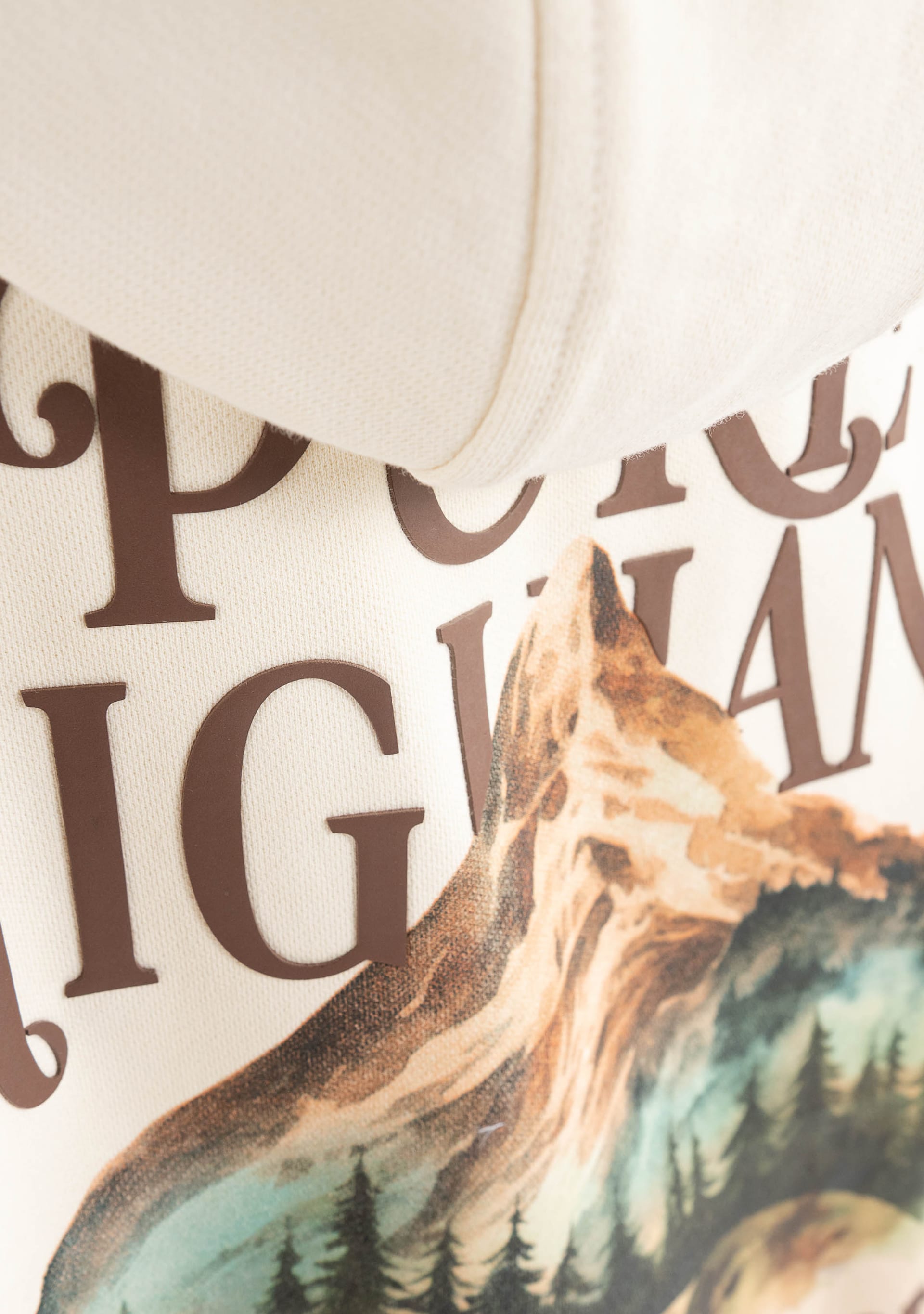 highland cream hoodie - imagen 6