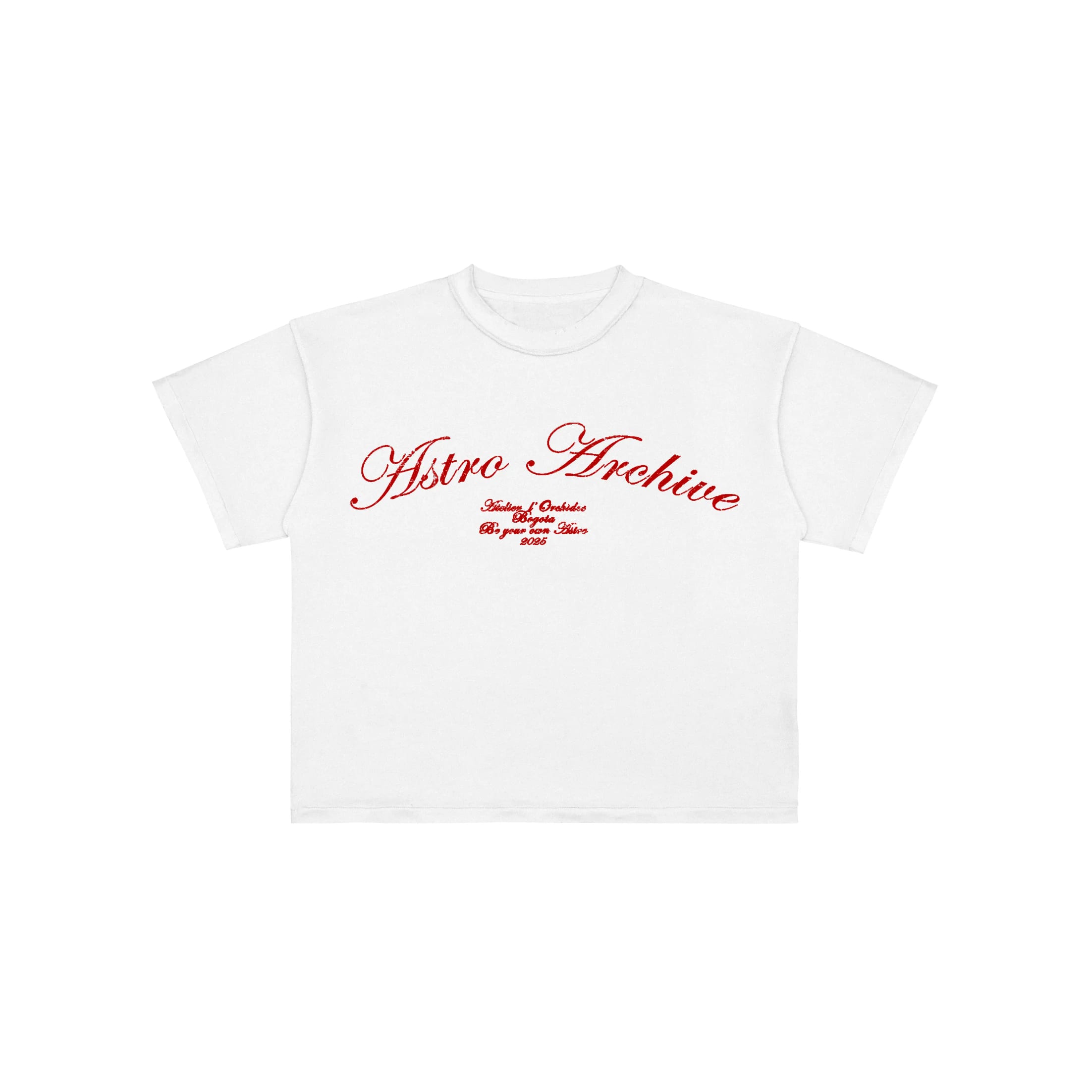 Basics V2 - Red Archive T-Shirt - imagen 5