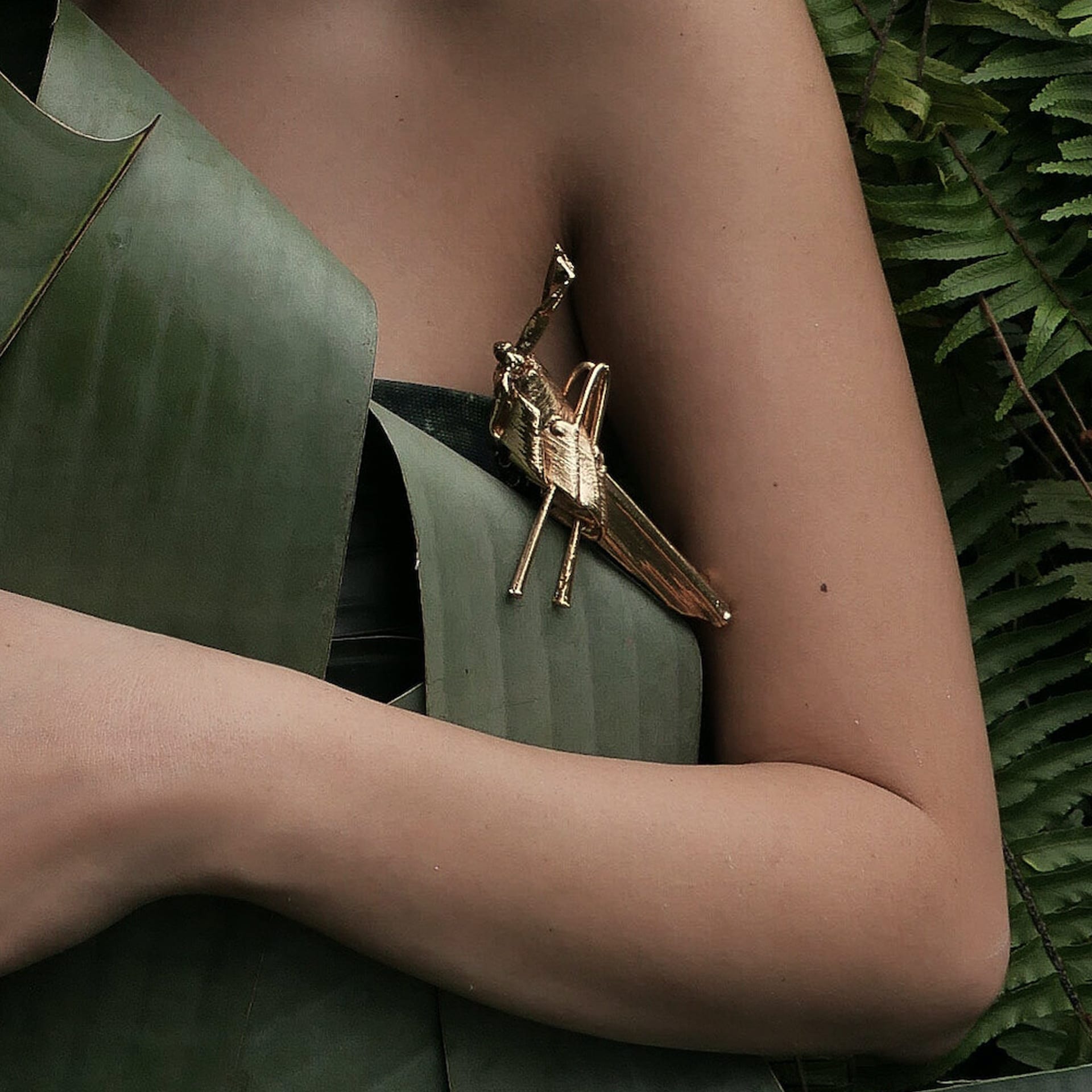 Broche Grillo - imagen 4