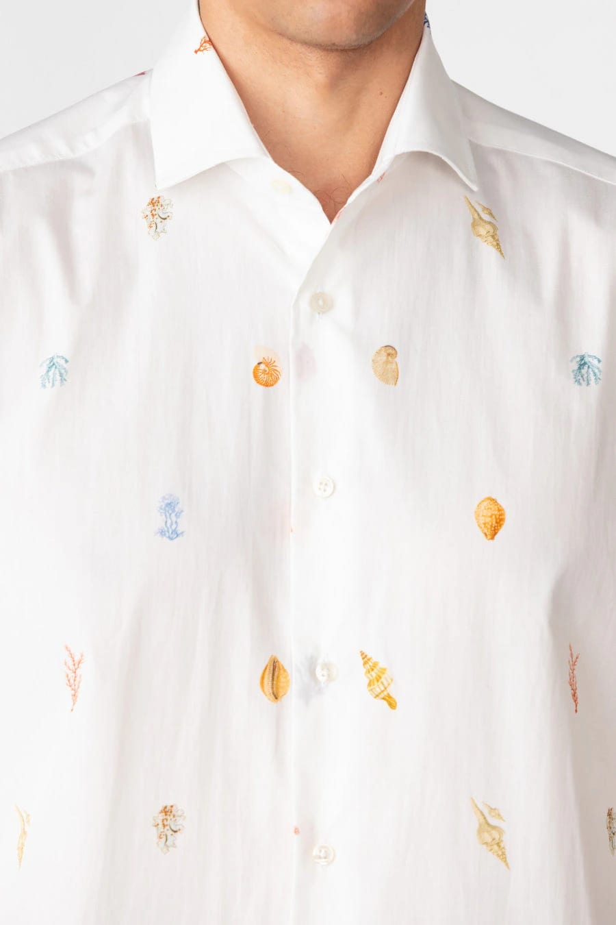 Men's cotton shirt albatros - imagen 4