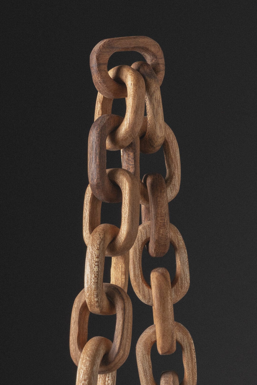 Pinna Negro - imagen 5