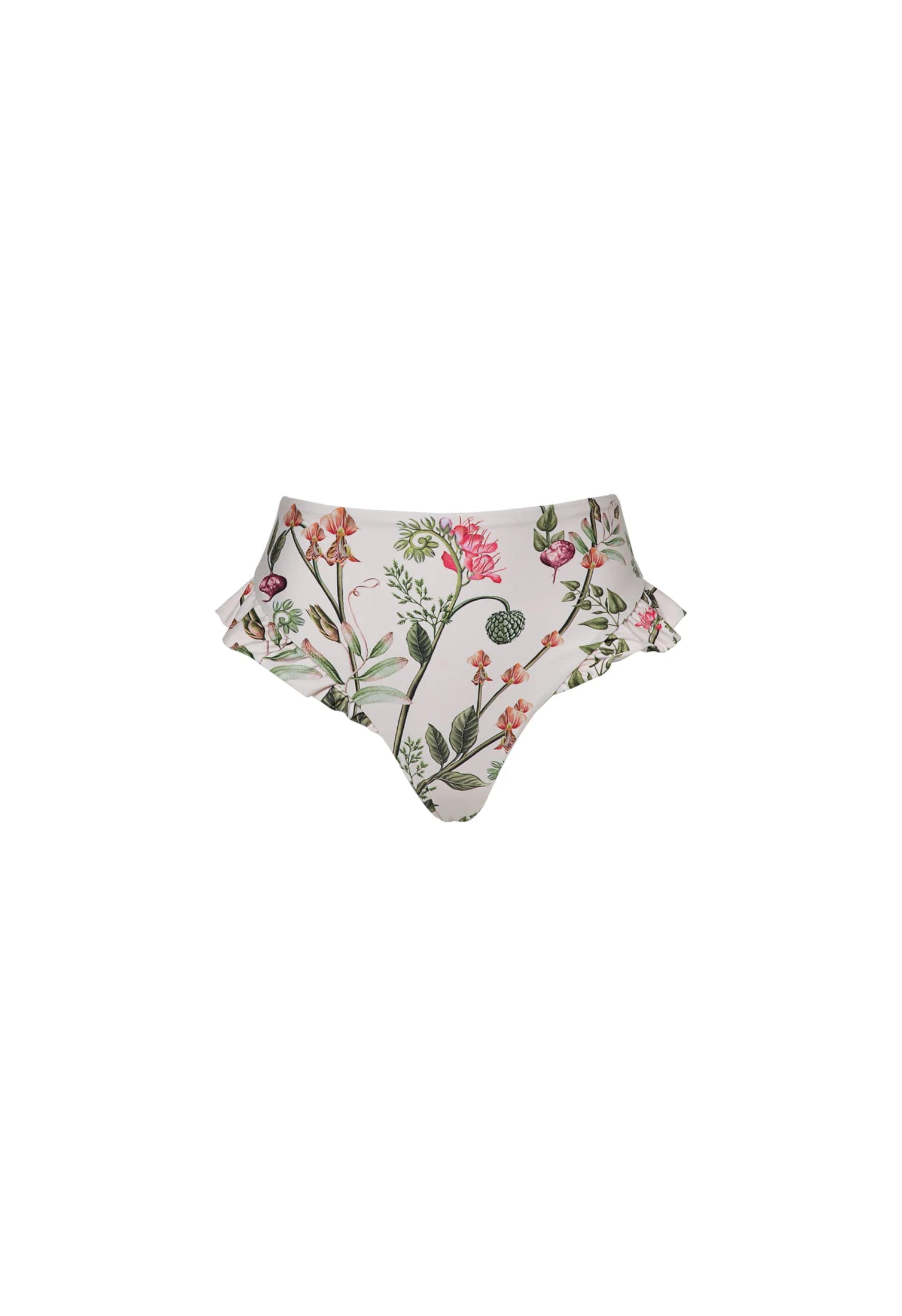 Jengibre Cultivo Bikini Bottom - imagen 10