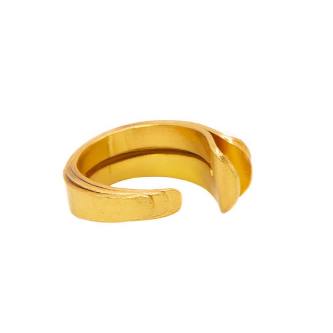 Trio Feather Ring - imagen 3