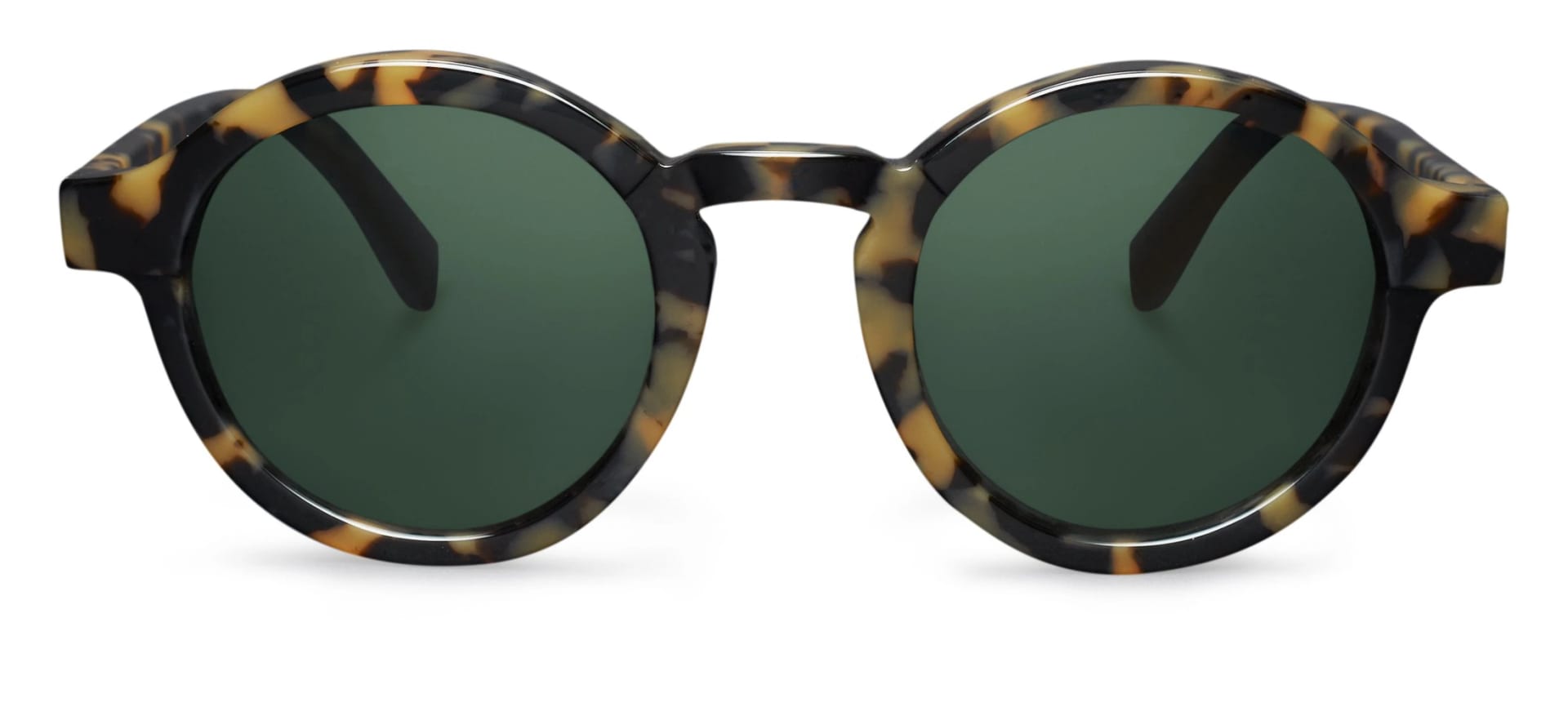 HIGH CONTRAST TORTOISE DALSTON WITH CLASSICAL LENSES - imagen 1