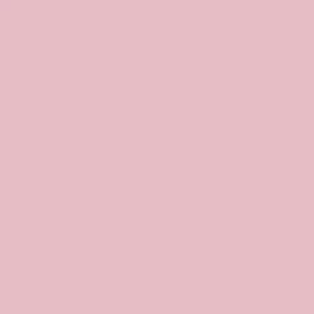 Brassier Velvet - imagen 2