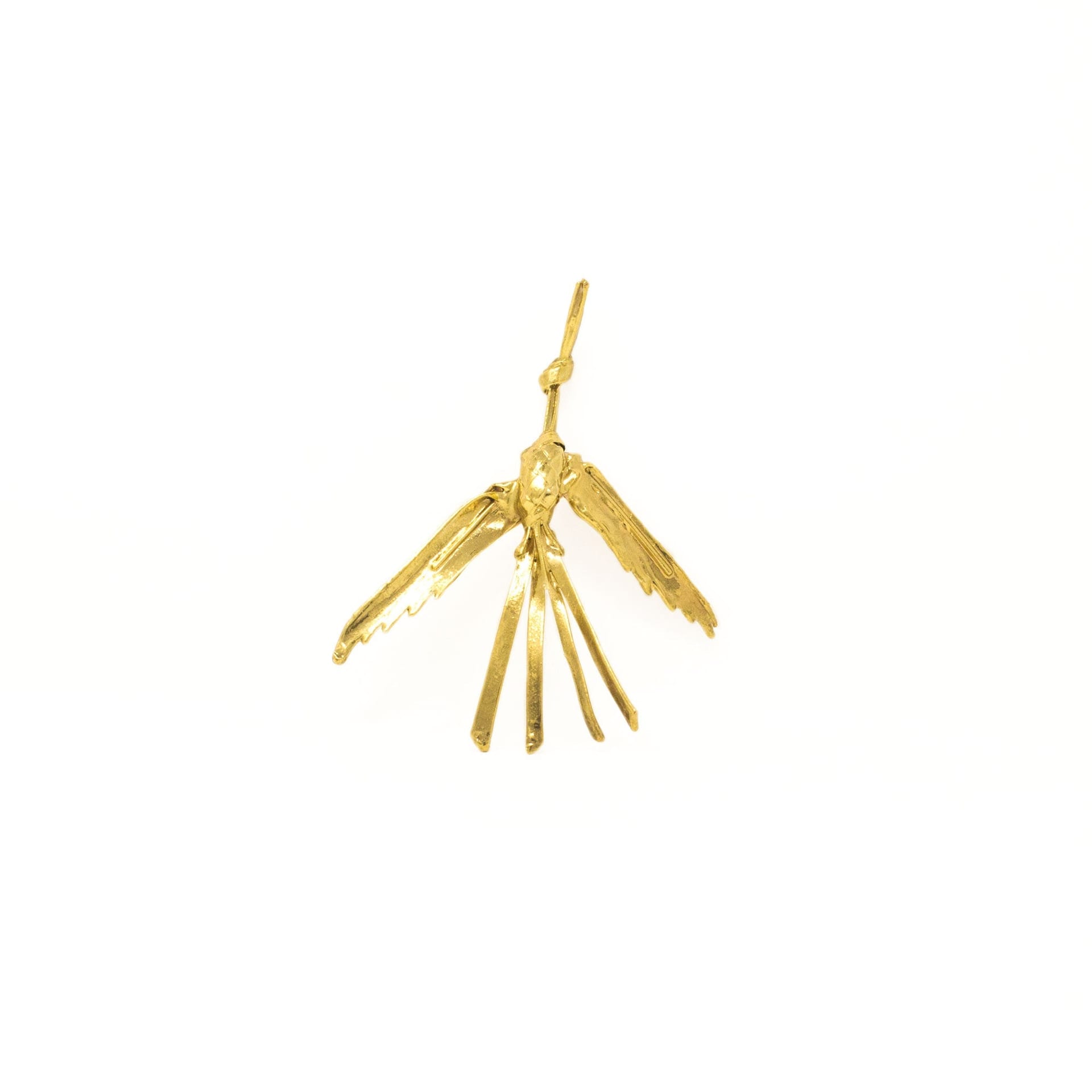 Broche Garza - imagen 1