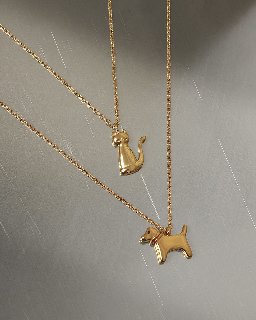 Collar Perro - imagen 5
