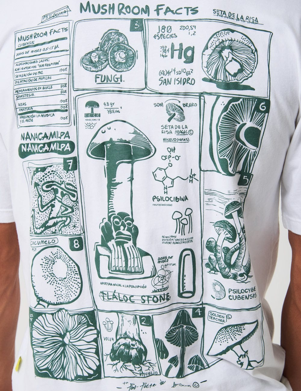 Camiseta Oversize Micelio crudo Unisex - imagen 2