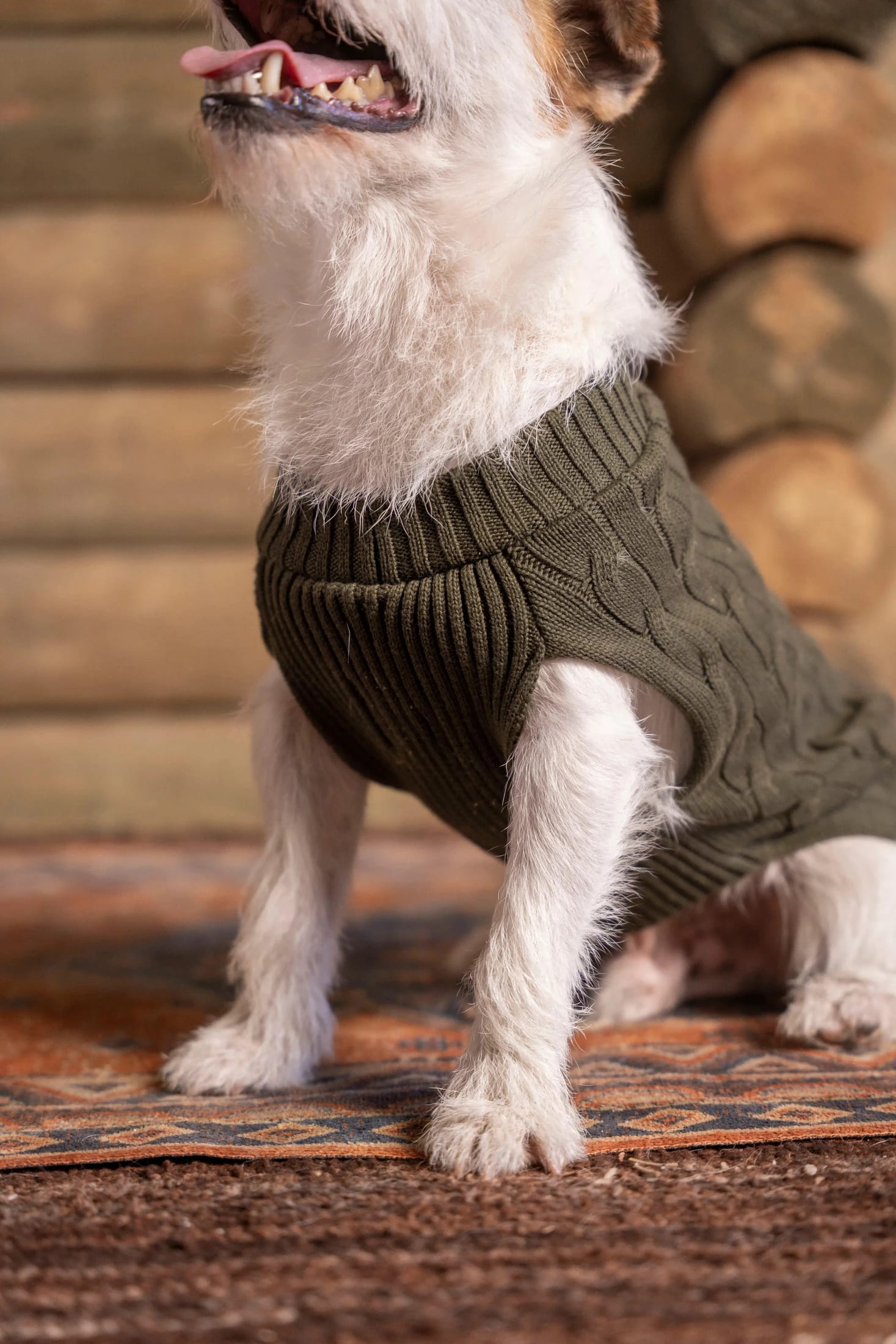 Suéter Perros Verde - imagen 2