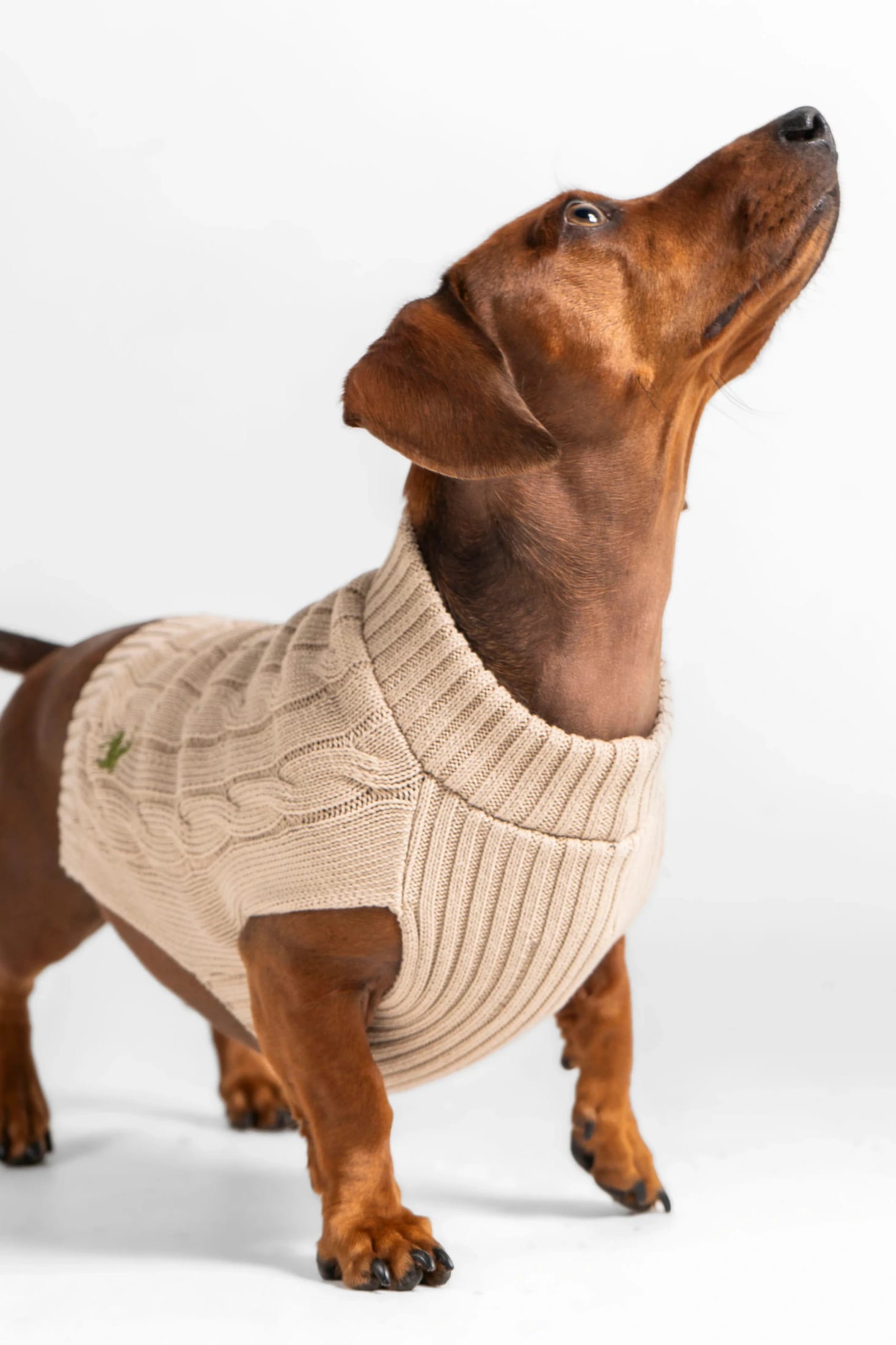 Suéter Perros Arena - imagen 9