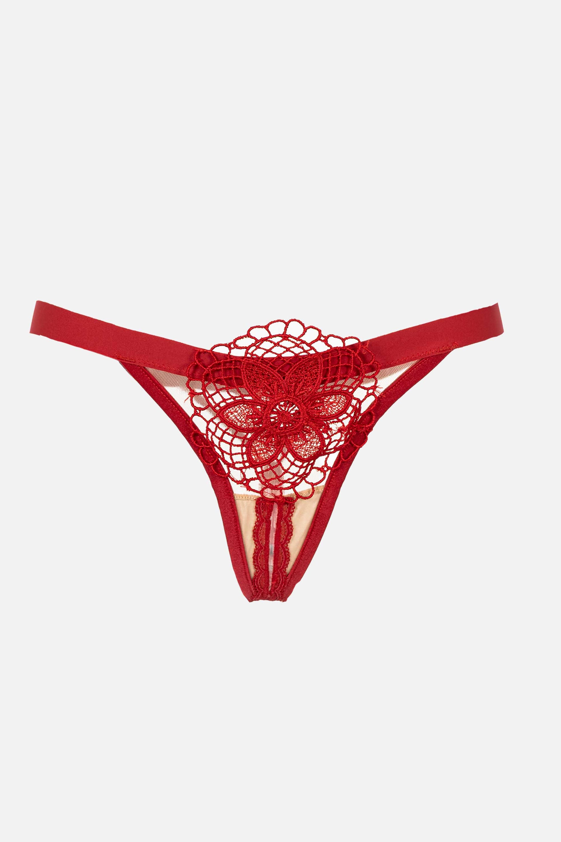 SCARLET ELLIPSE ROJO - imagen 4