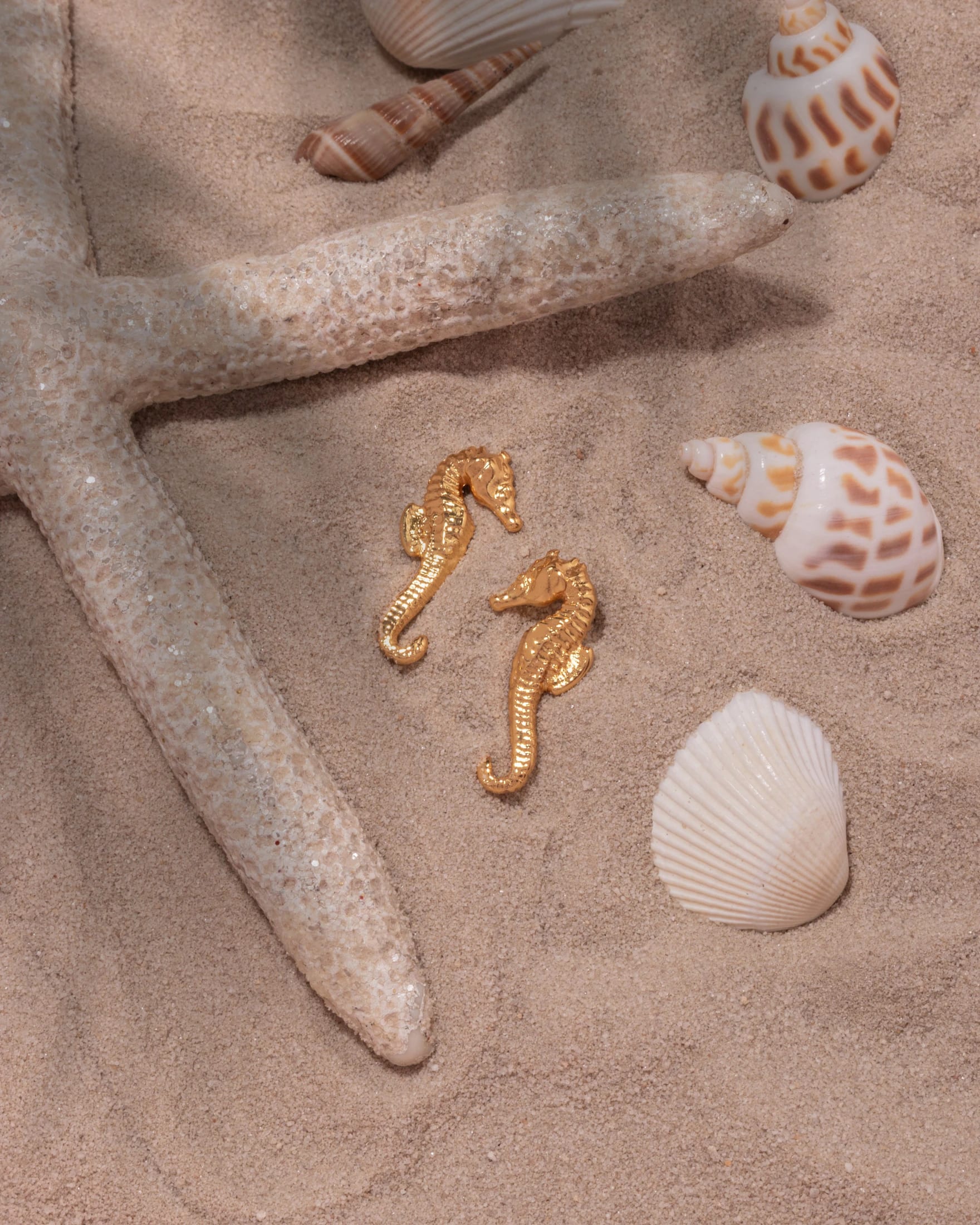 Aretes Caballito de Mar - imagen 7