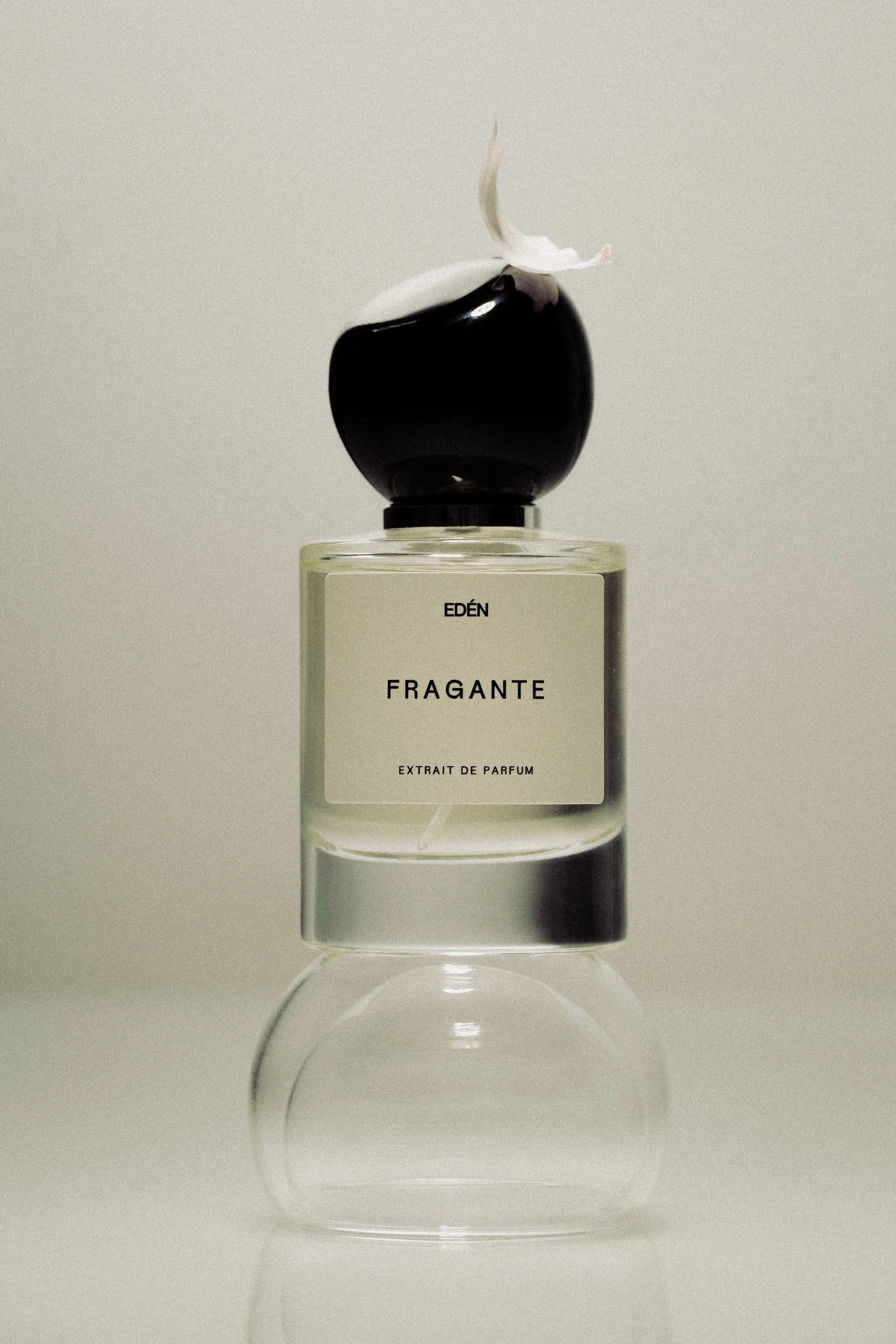 FRAGRANT - imagen 2