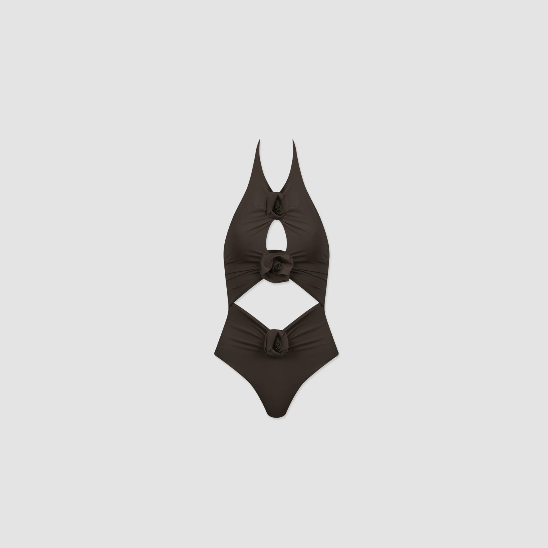 BREVIS - imagen 1