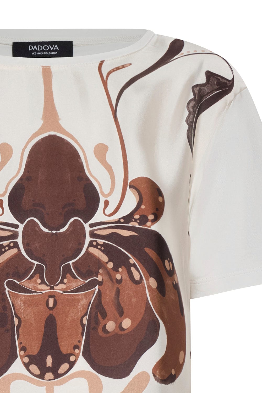 Camiseta lourdes ivory coffee - imagen 2