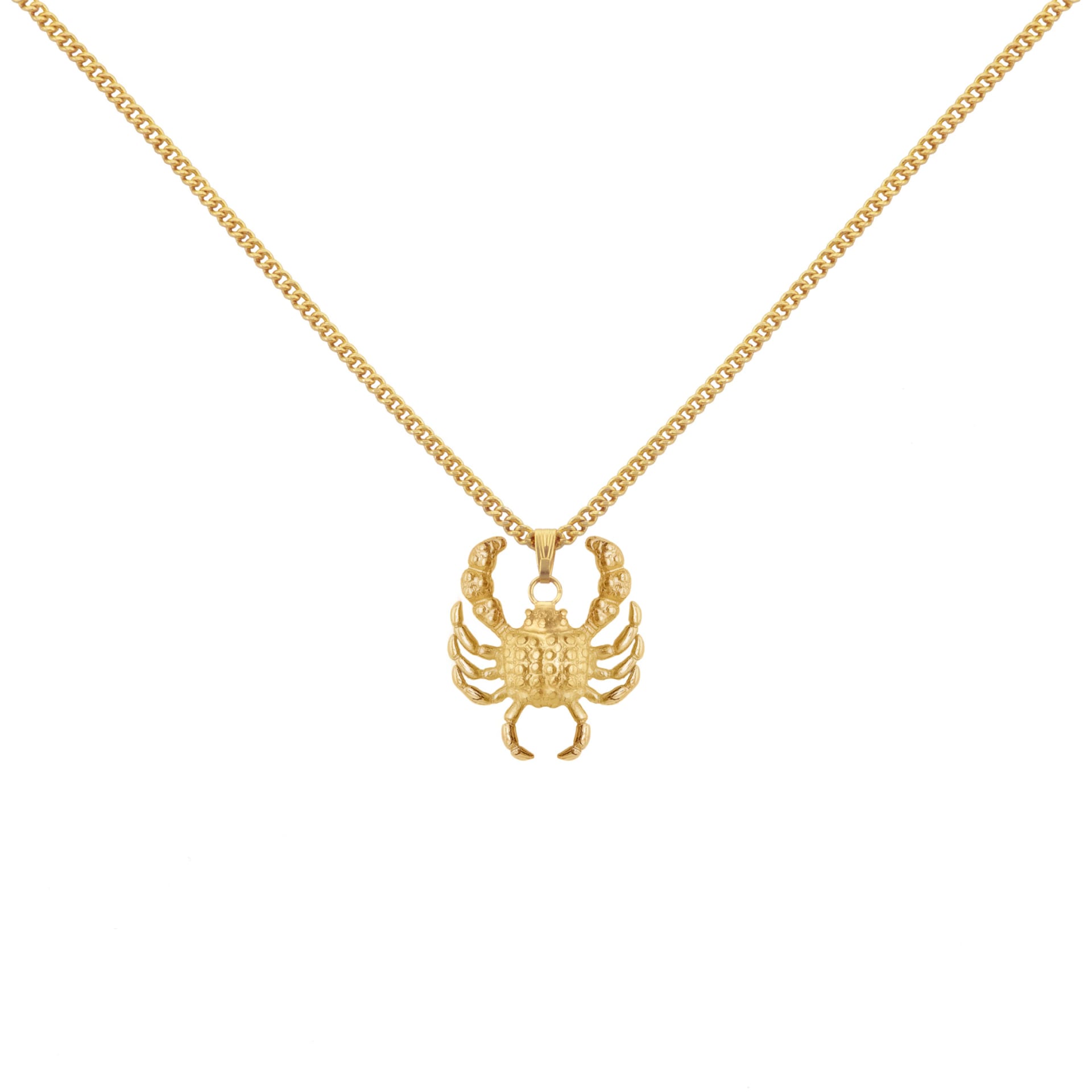 Mr Crab Chain - imagen 1