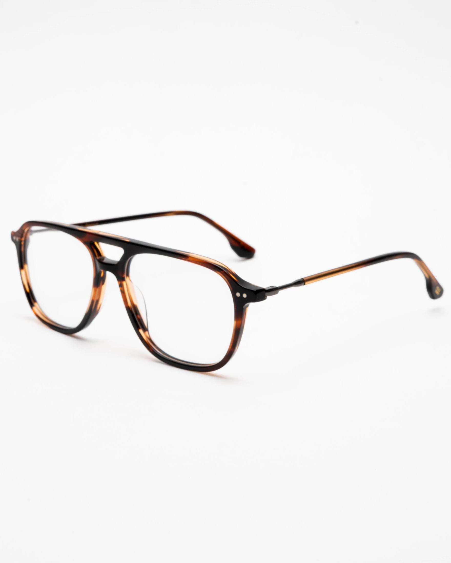 BERNARD - TORTOISE - imagen 1