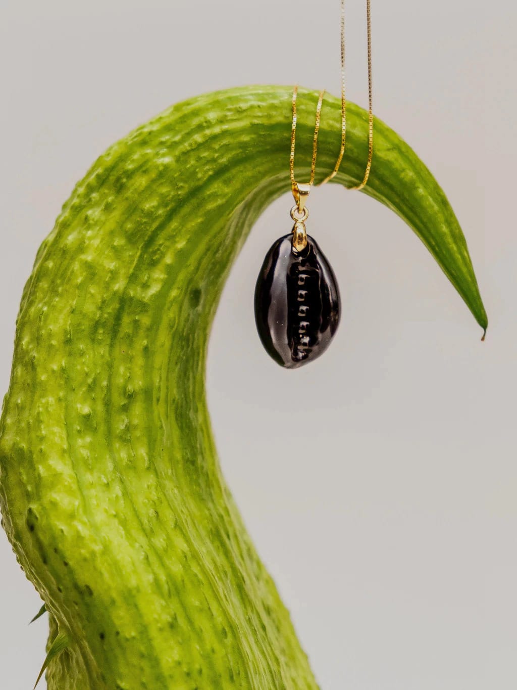 COWRIE'S SOLITARY - imagen 4
