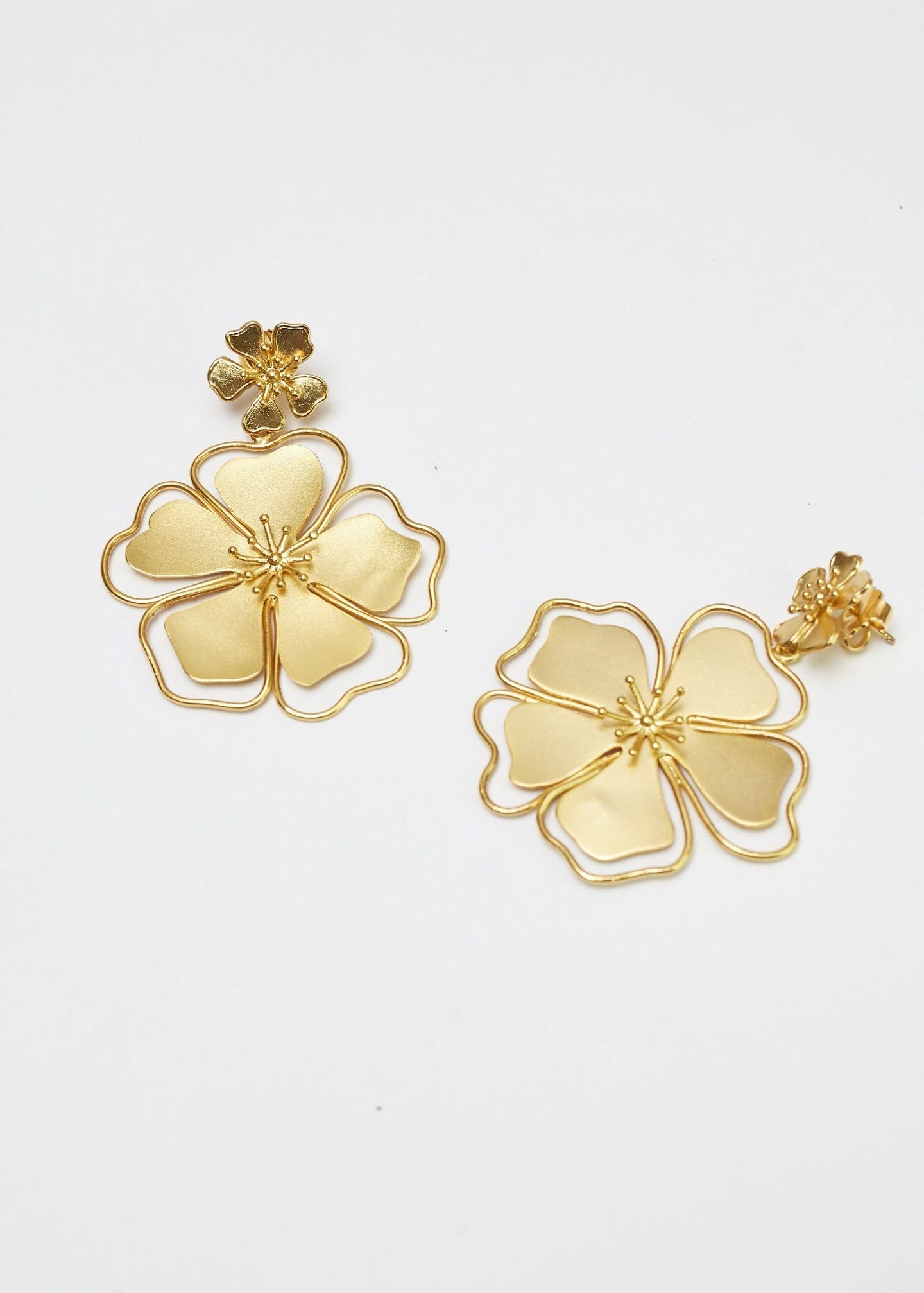 Aretes Andreae - imagen 1