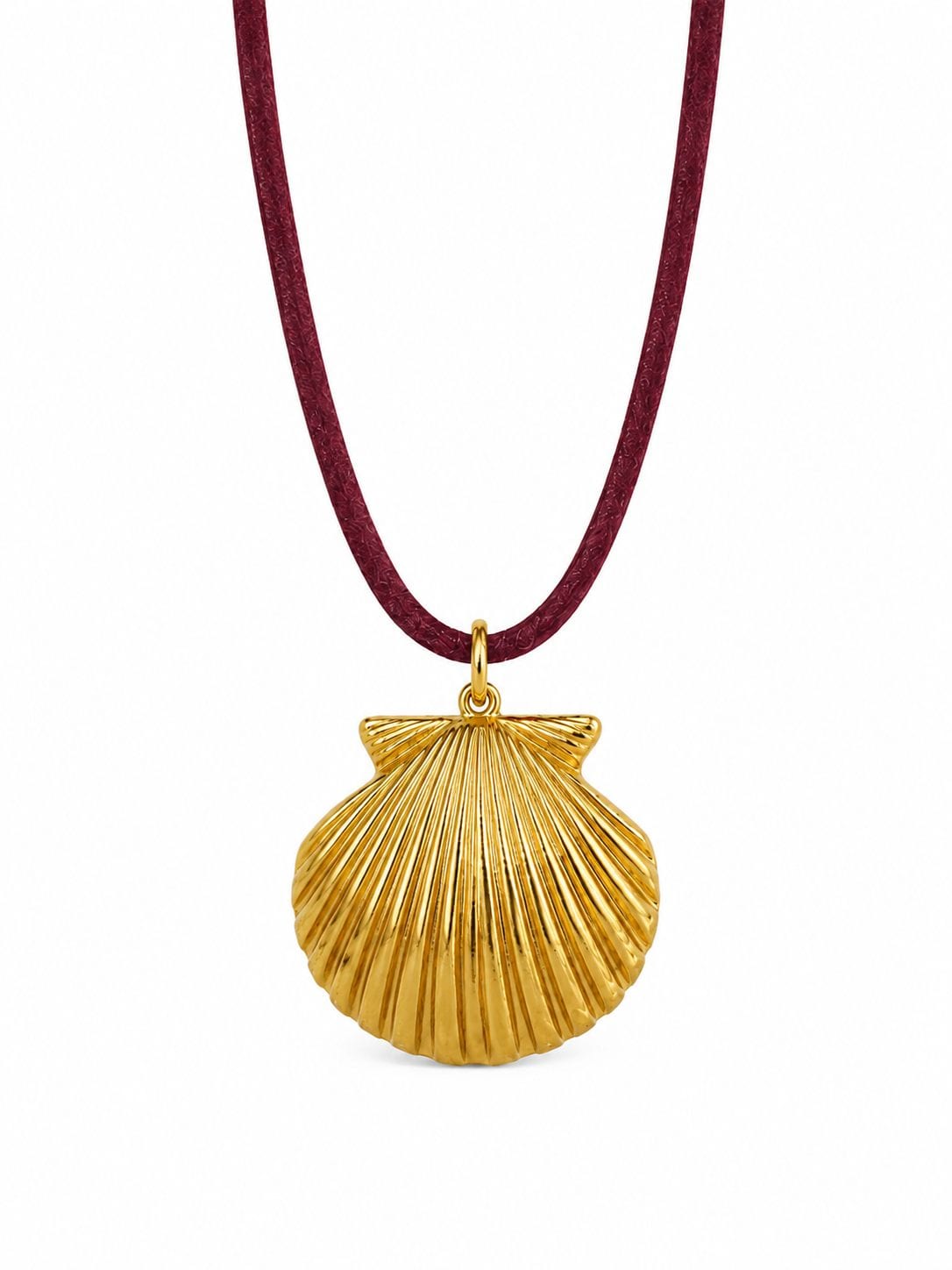 La Ostra Collar - imagen 2
