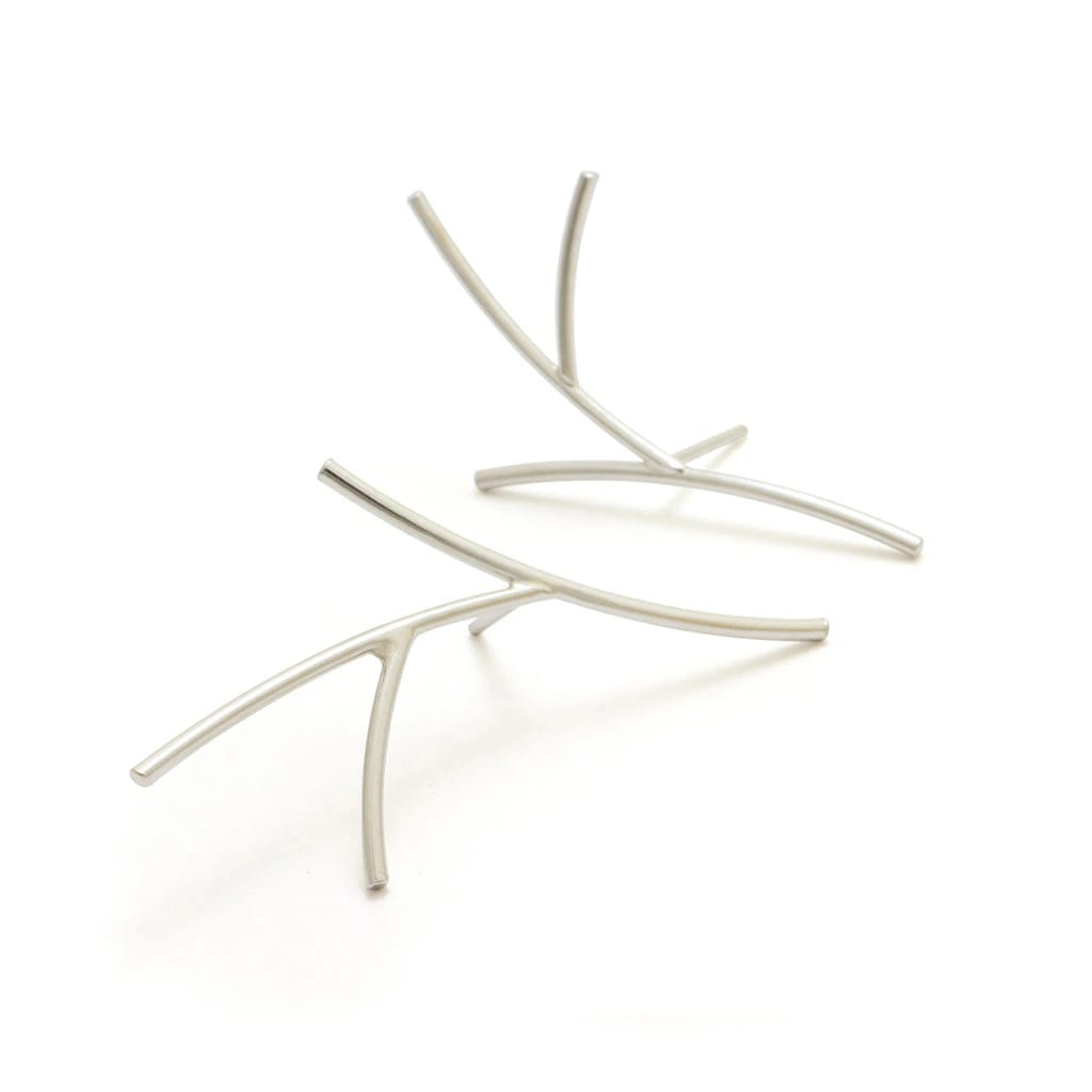 Aretes rhipsalis - imagen 1