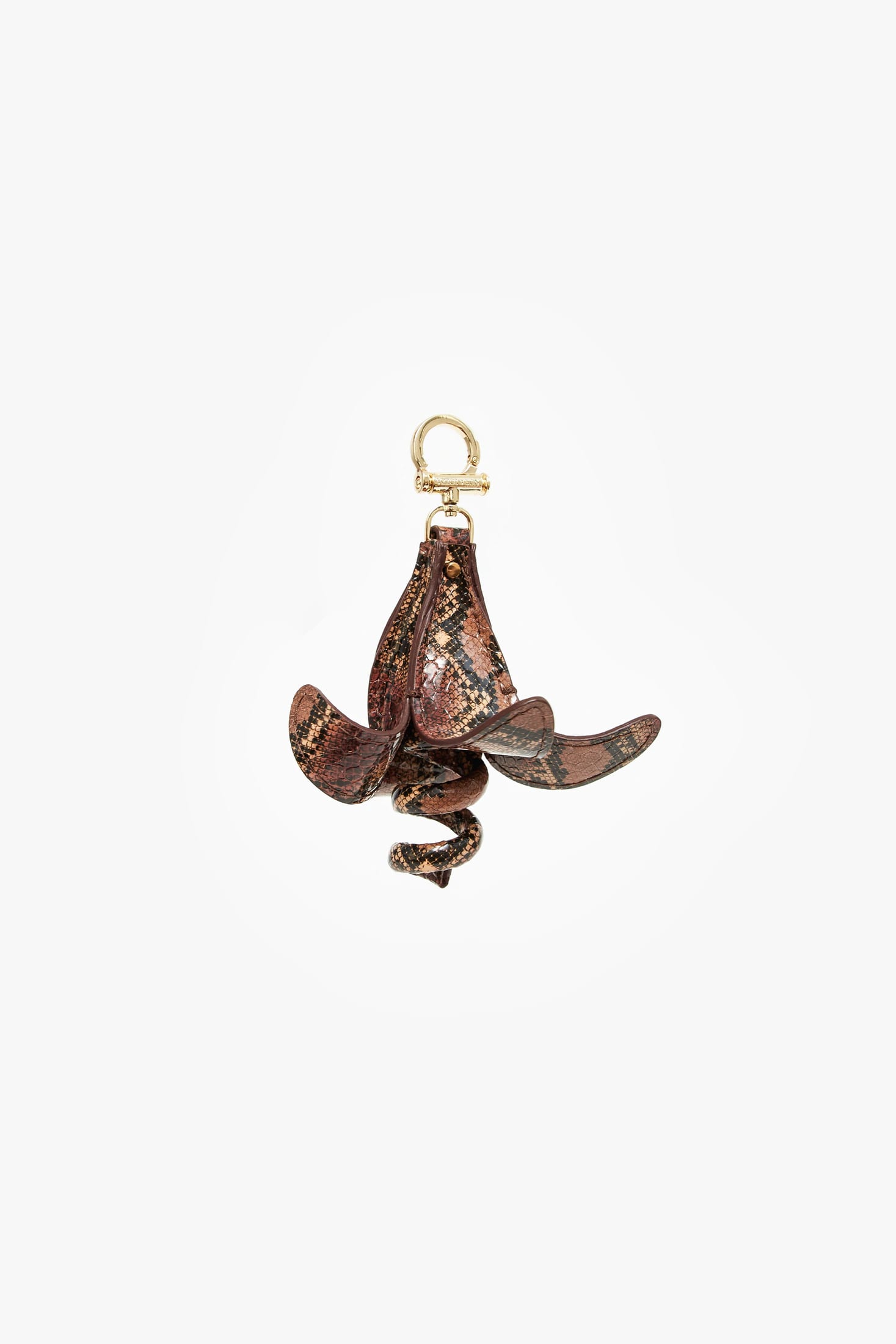 WILD BANANA - imagen 1