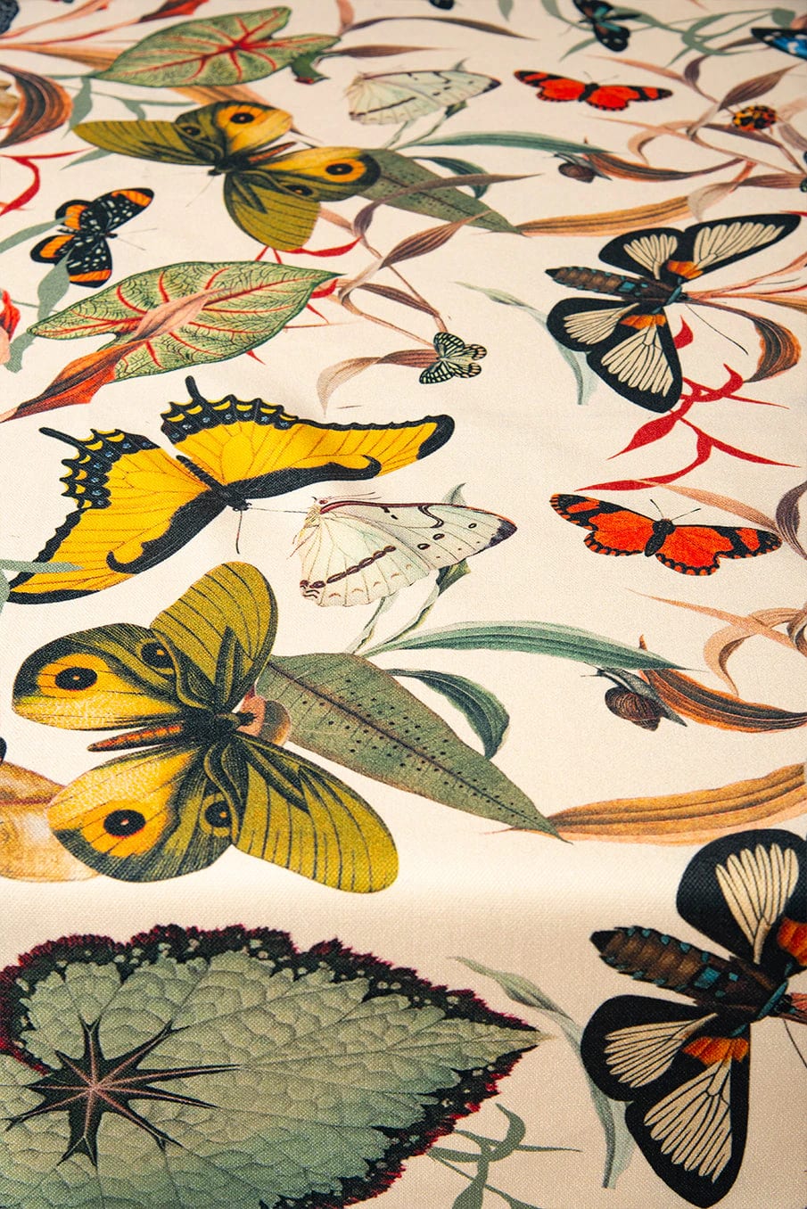 Mantel - Butterfly Black - imagen 4