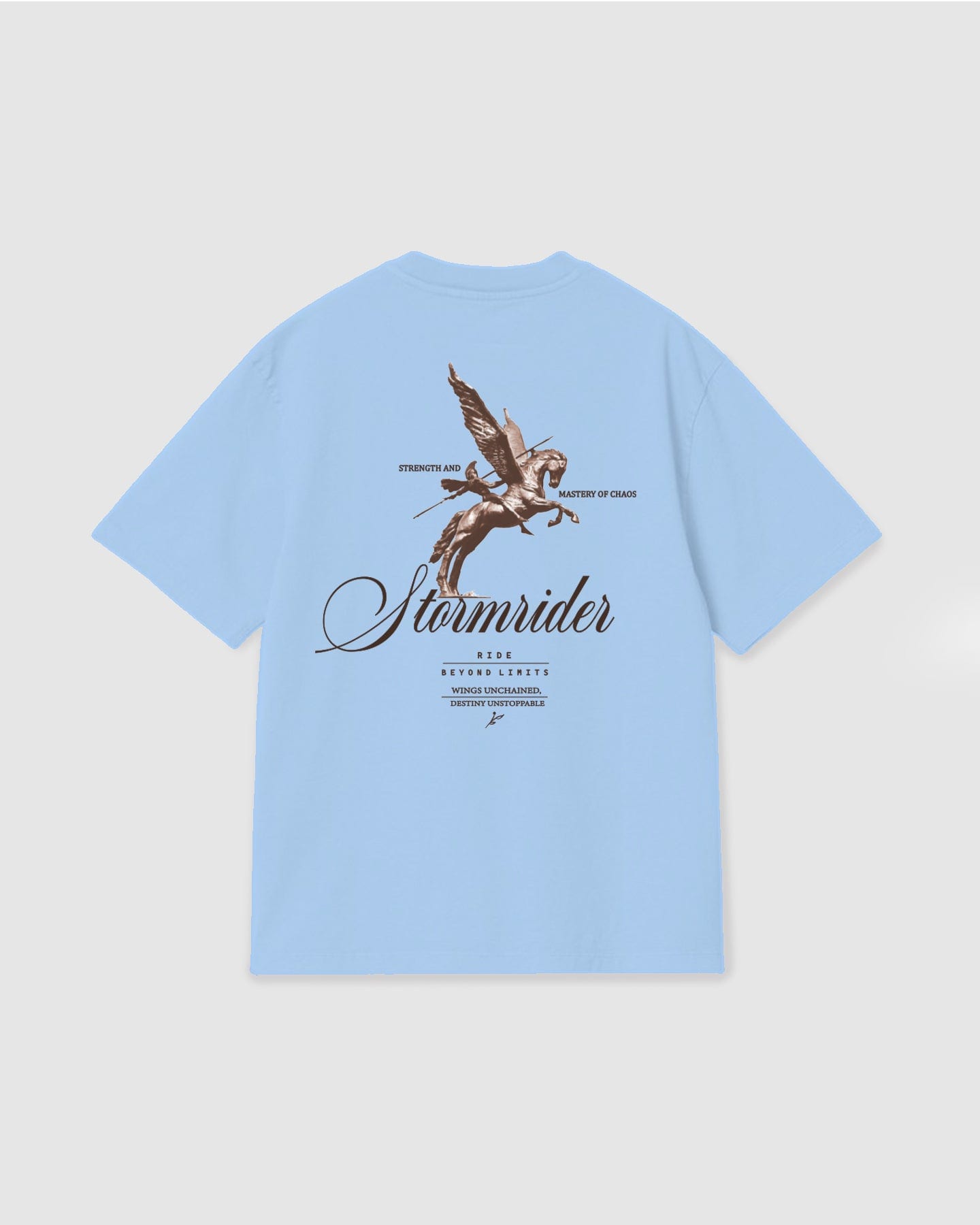 Oversized T Shirt Stormrider Sky Blue - imagen 1