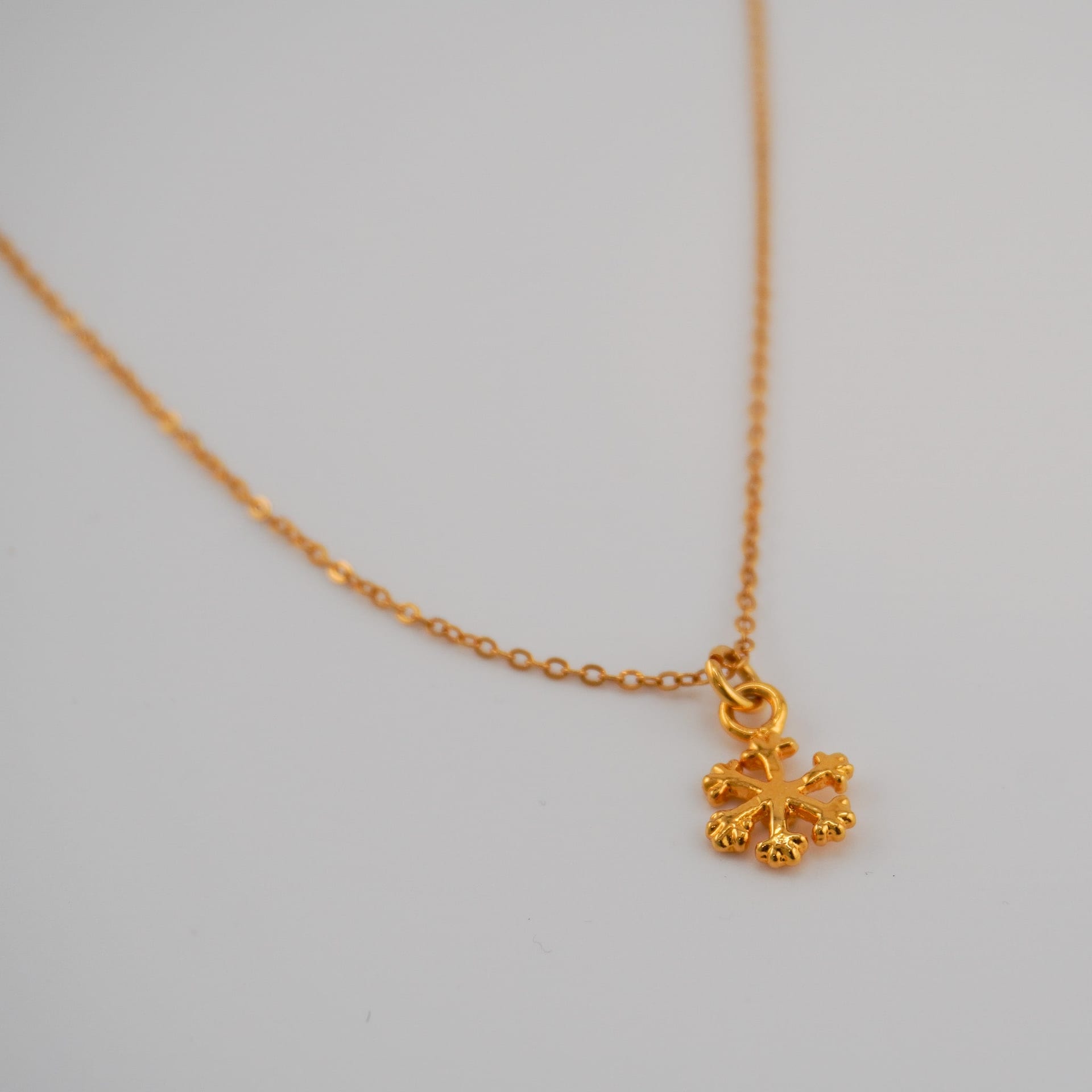 Frosted charm Chain - imagen 1