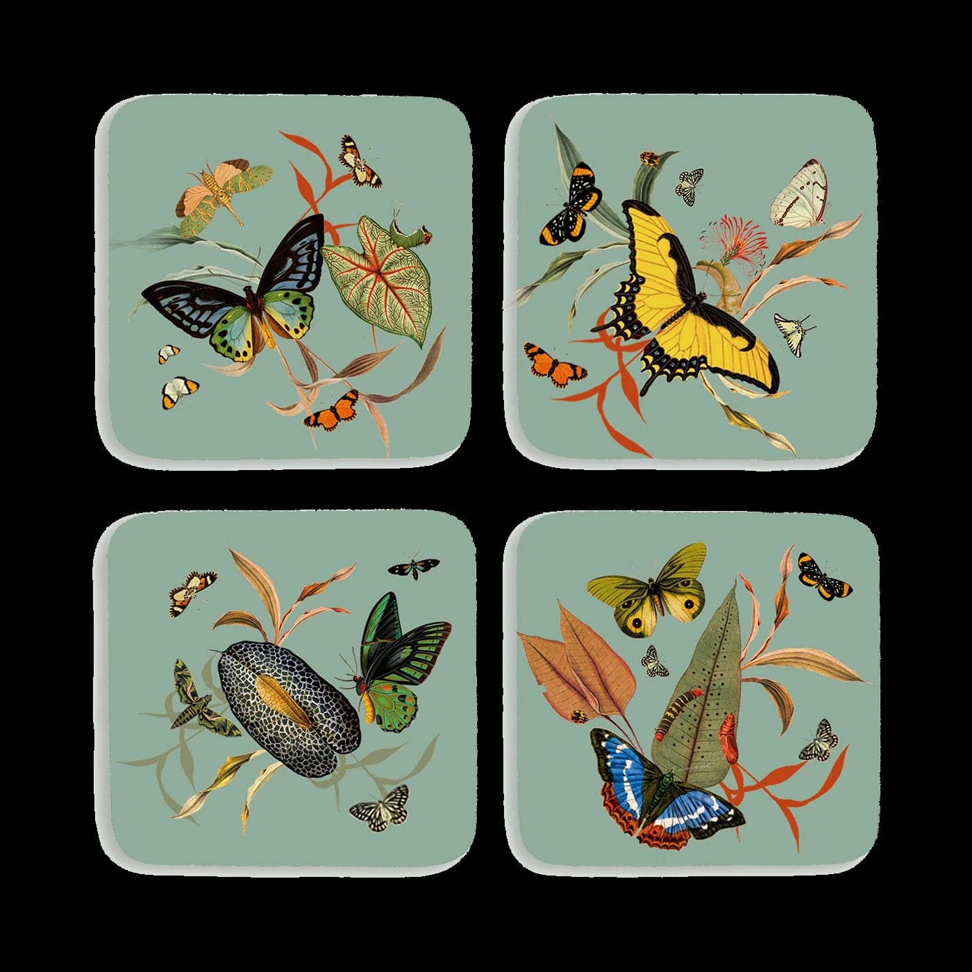 Portavasos - Mariposas - imagen 1